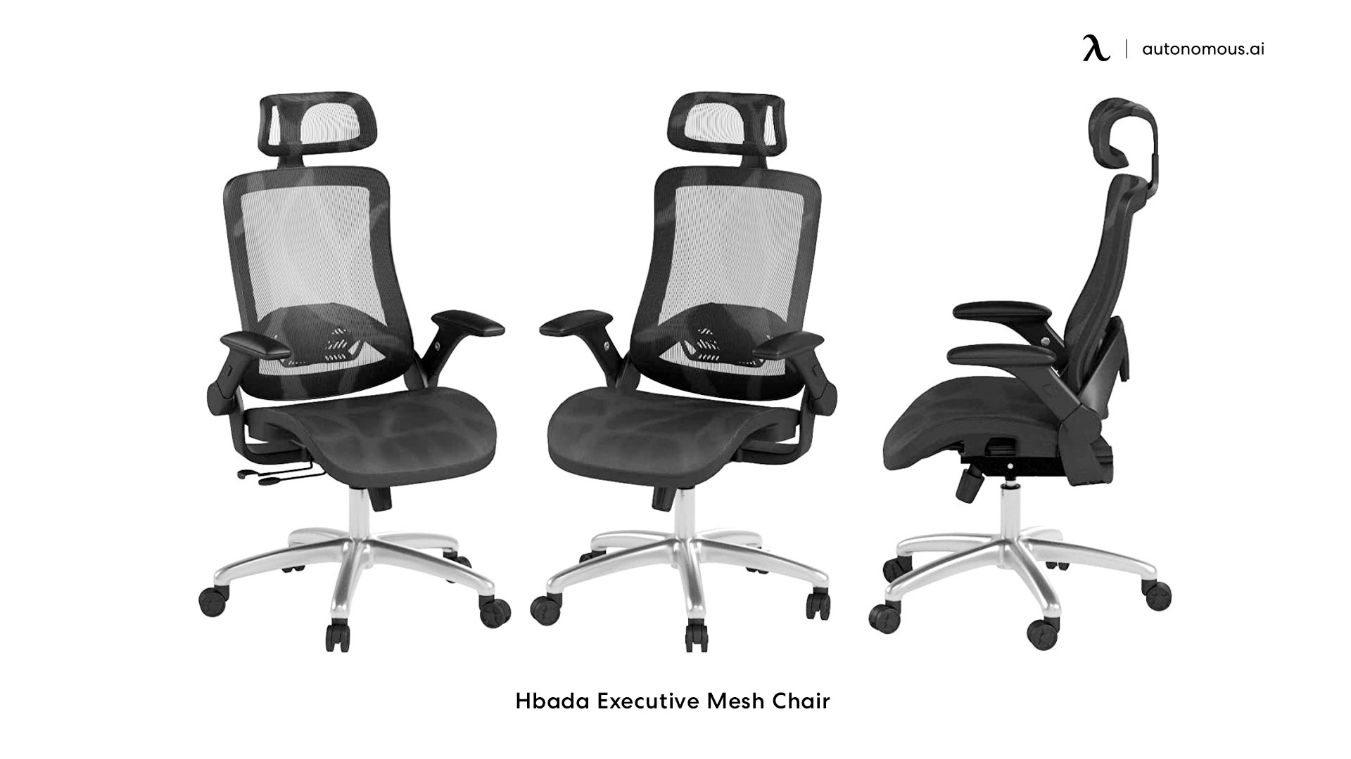 Hbada Executive Mesh Chair