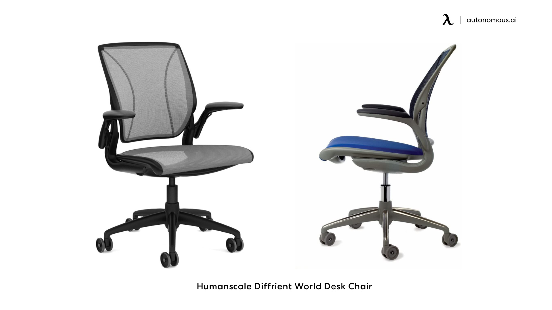 Humanscale Diffrient World Desk Chair