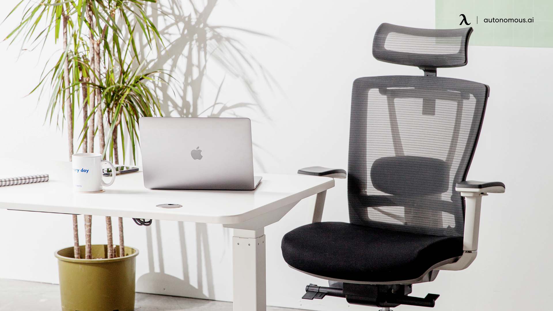 ergonomic office equipment: Ergonomic Chairs
