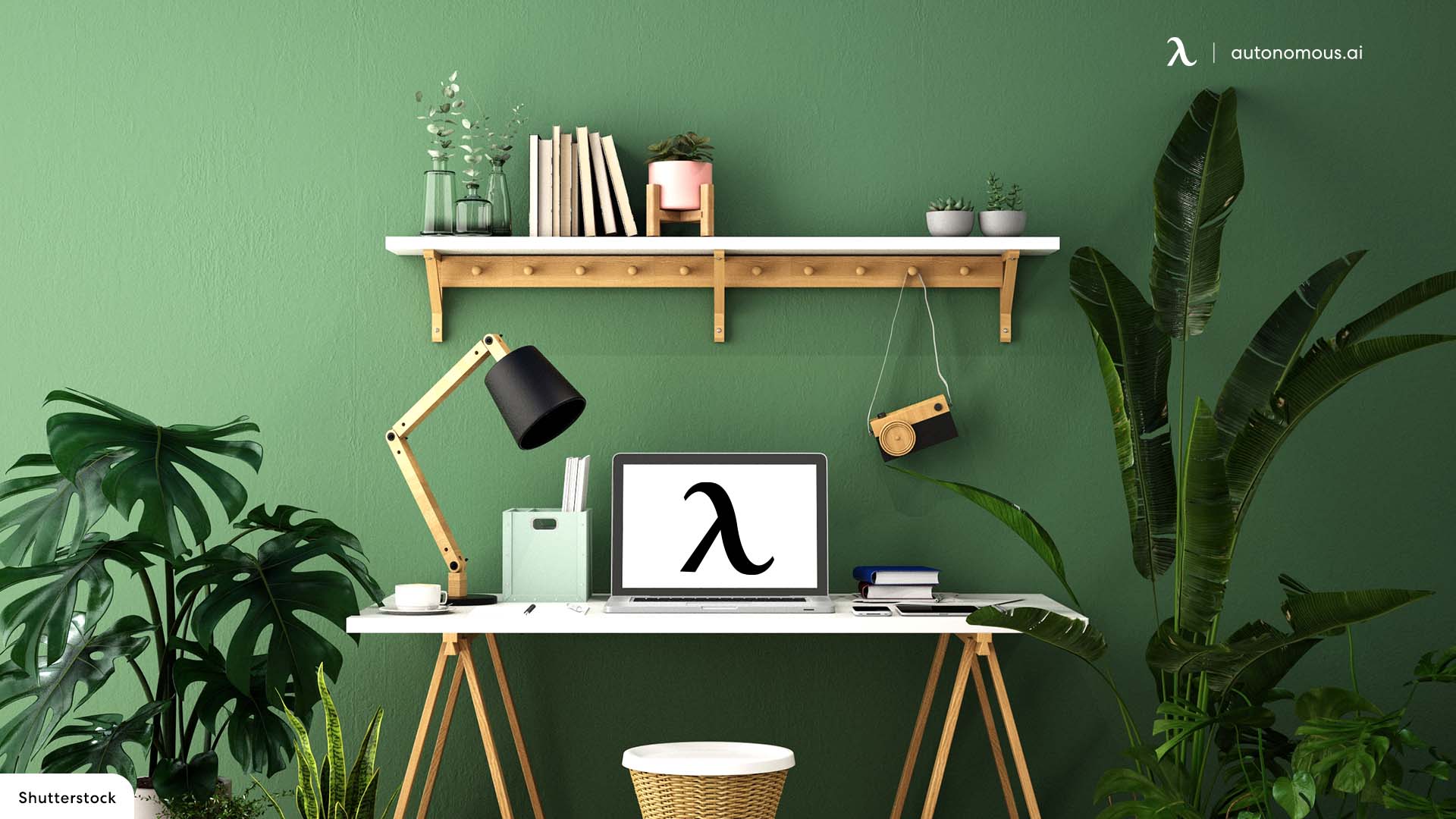 plants in dark green home office