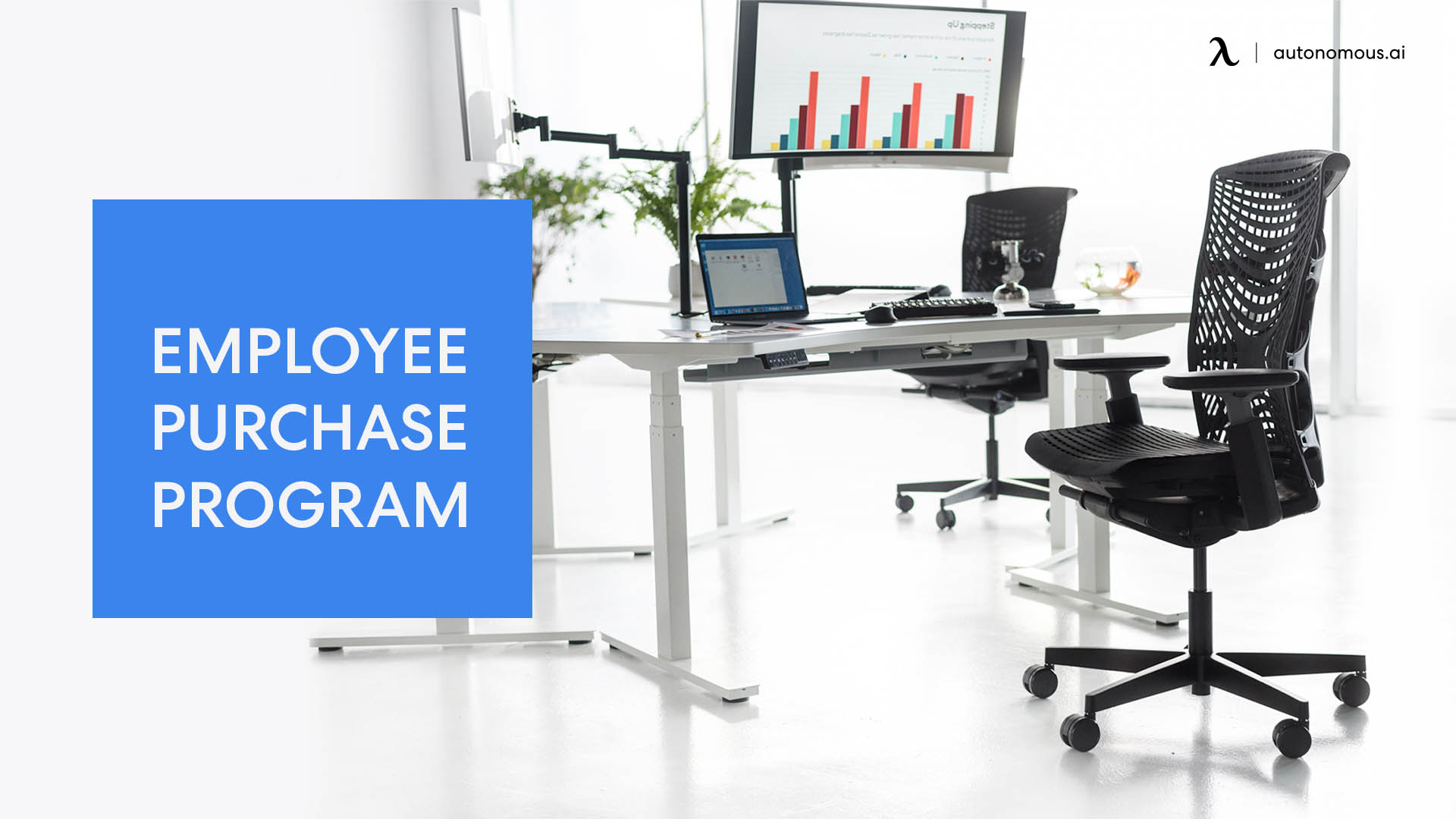 An Employee Purchase Program