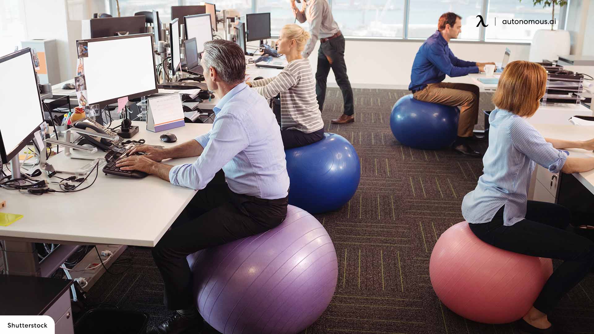 An Exercise Ball As Office Chair, Stability Ball For Desk Chair