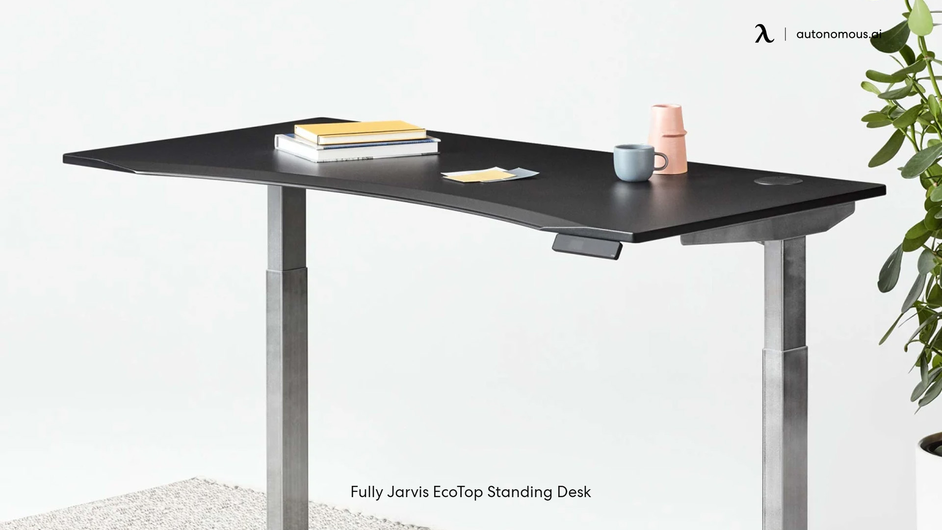 Fully Jarvis EcoTop Standing Desk