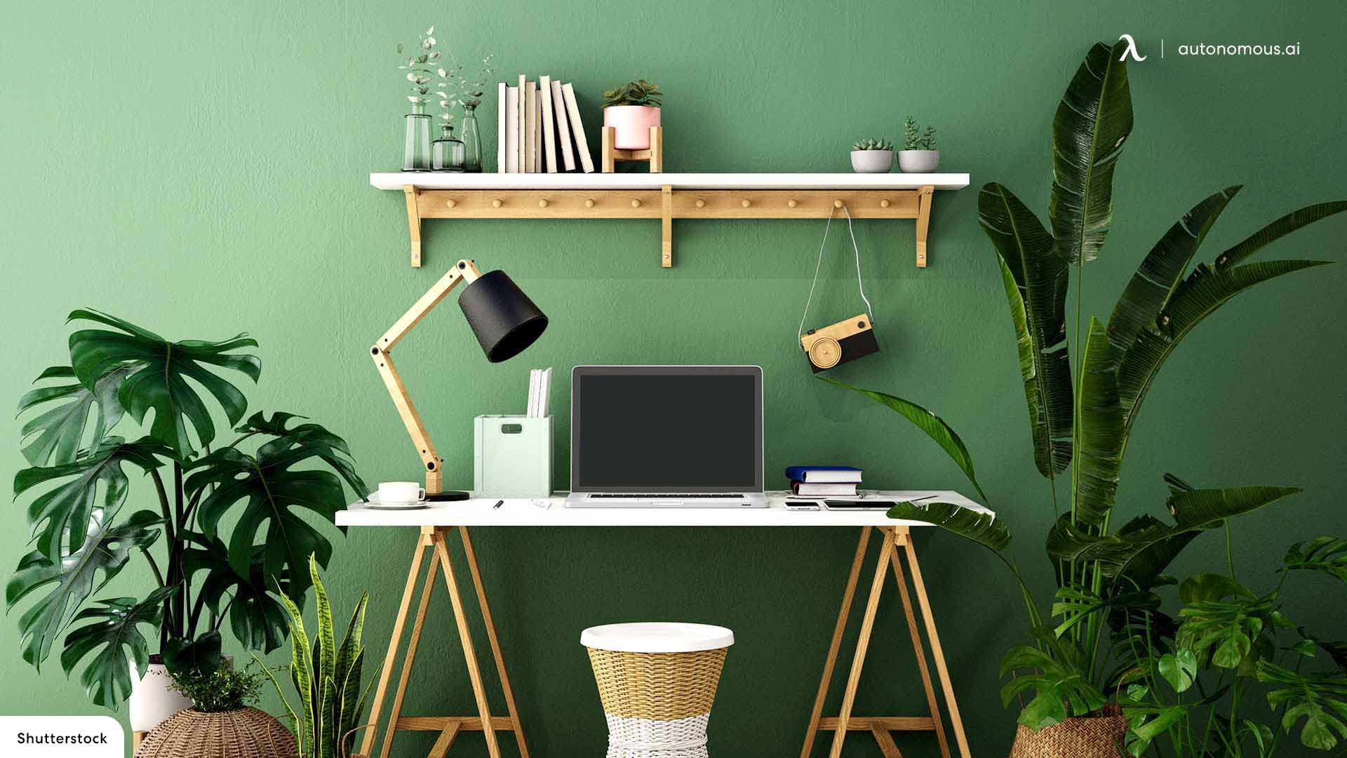 Green color scheme for office interior