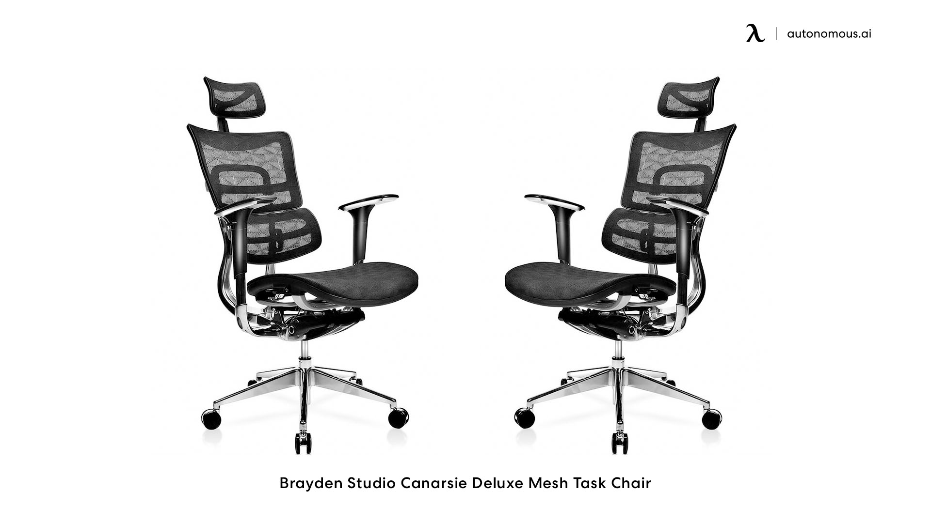 Brayden Studio Canarsie Deluxe Mesh Task Chair