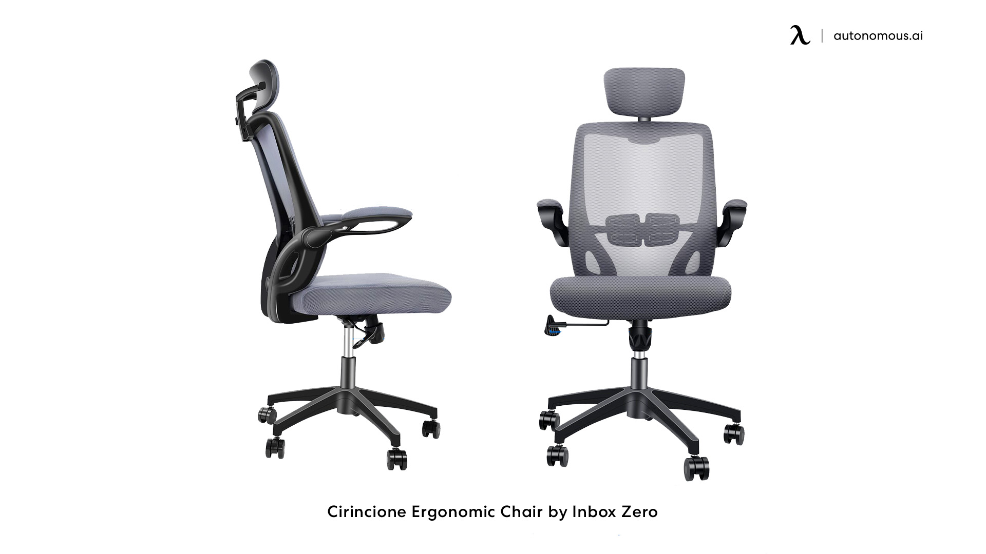 Cirincione Ergonomic Chair by Inbox Zero