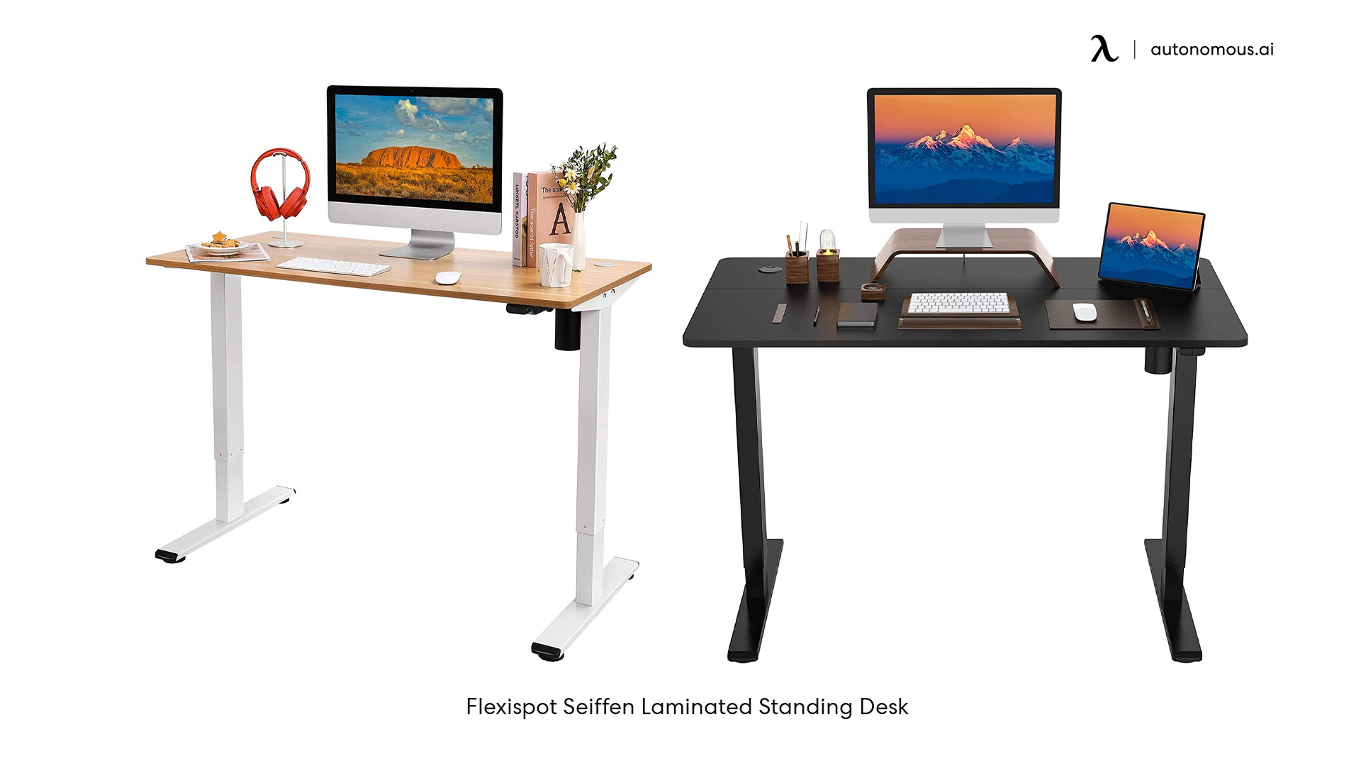 Flexispot Seiffen Laminated Standing Desk