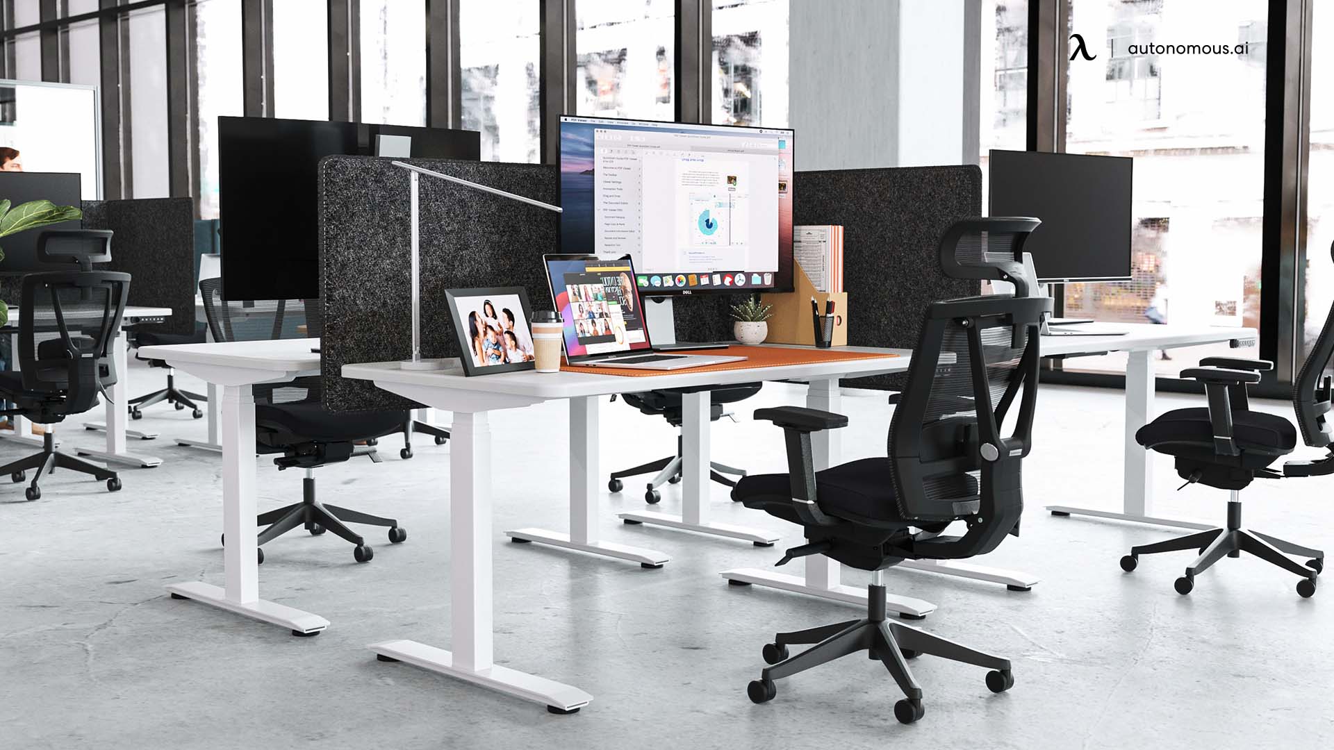 How to Set Up a Productive Office with Desk Dividers
