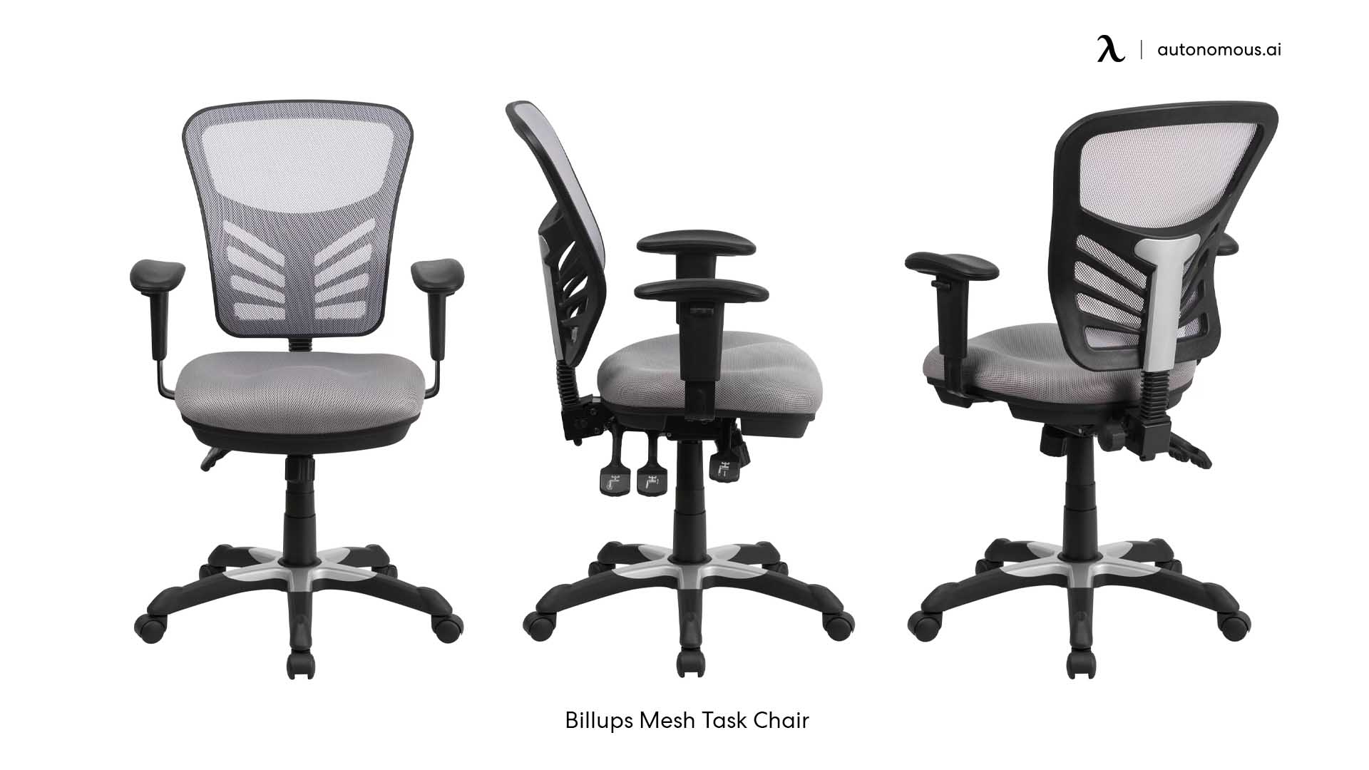 Billups Ergonomic Mesh Task Chair