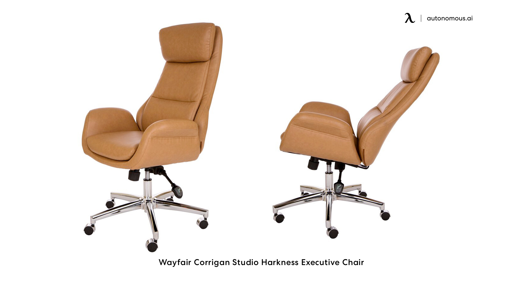 Wayfair Corrigan stylish office chair