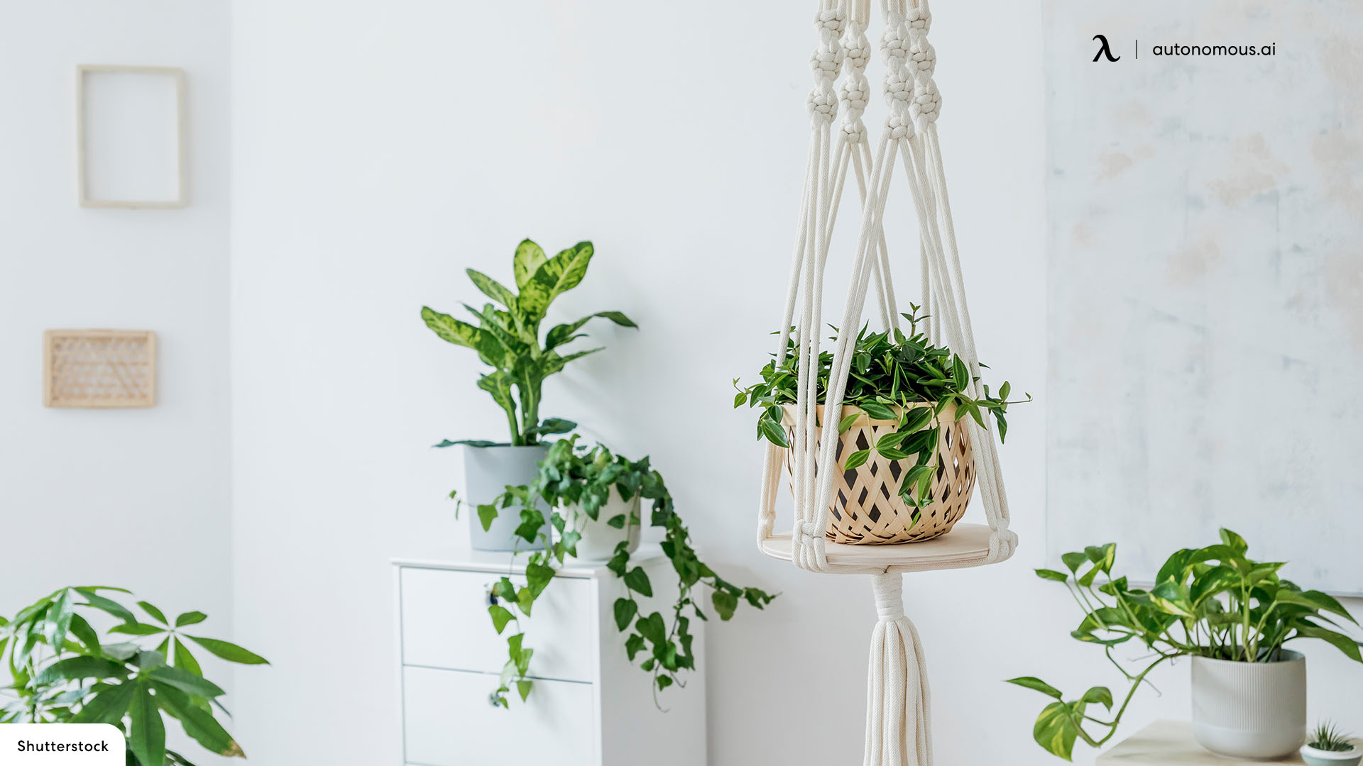 Put up Hanging Plants in Woven Baskets