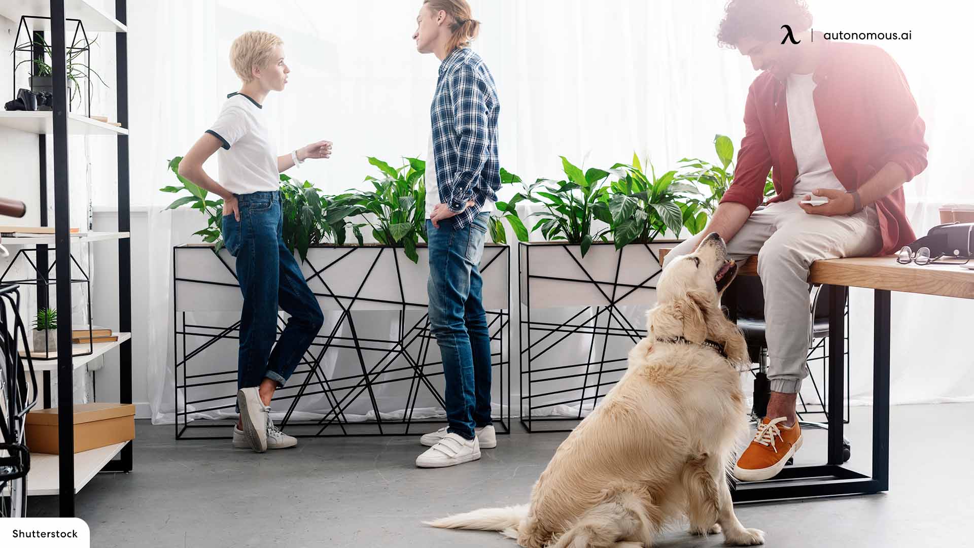 Pet Proofing the Workplace