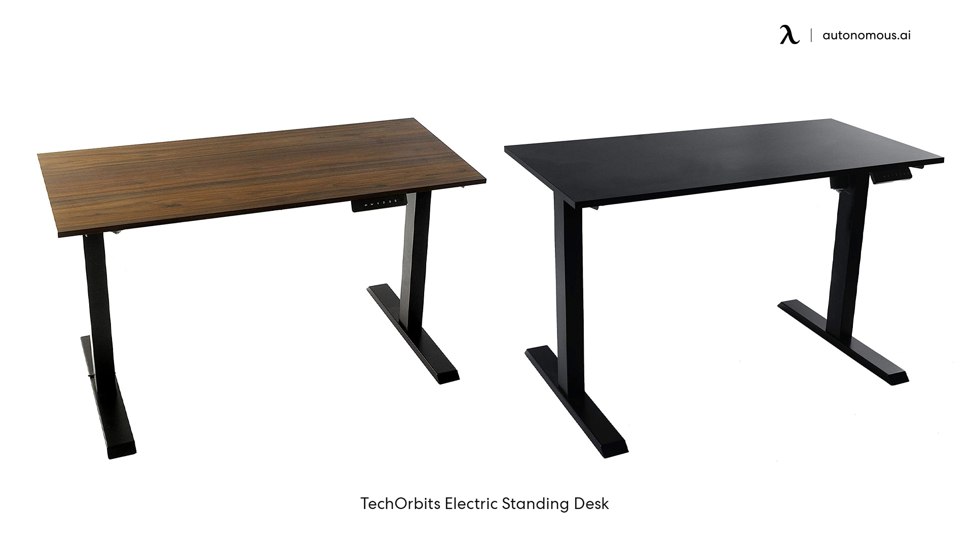 TechOrbits Electric Standing Desk