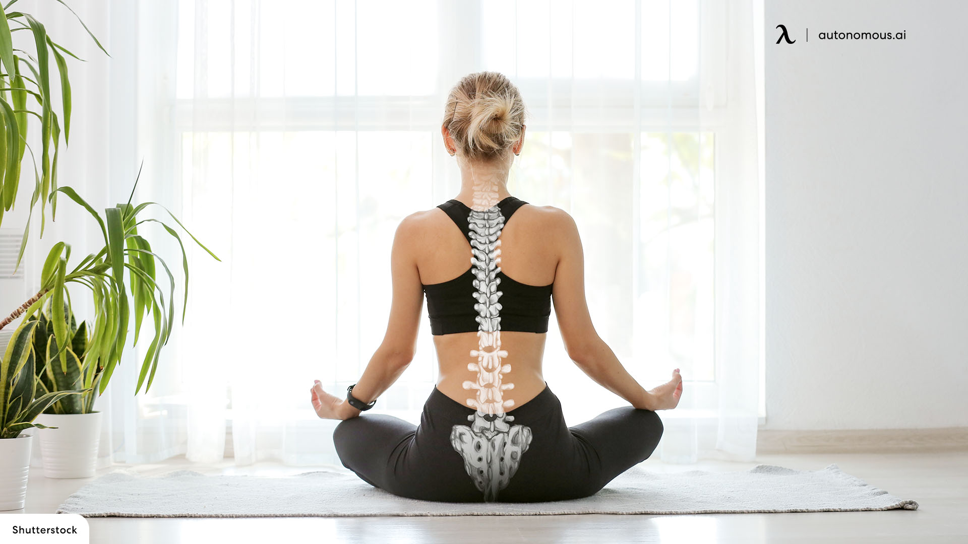 Lower Back and Spine Health