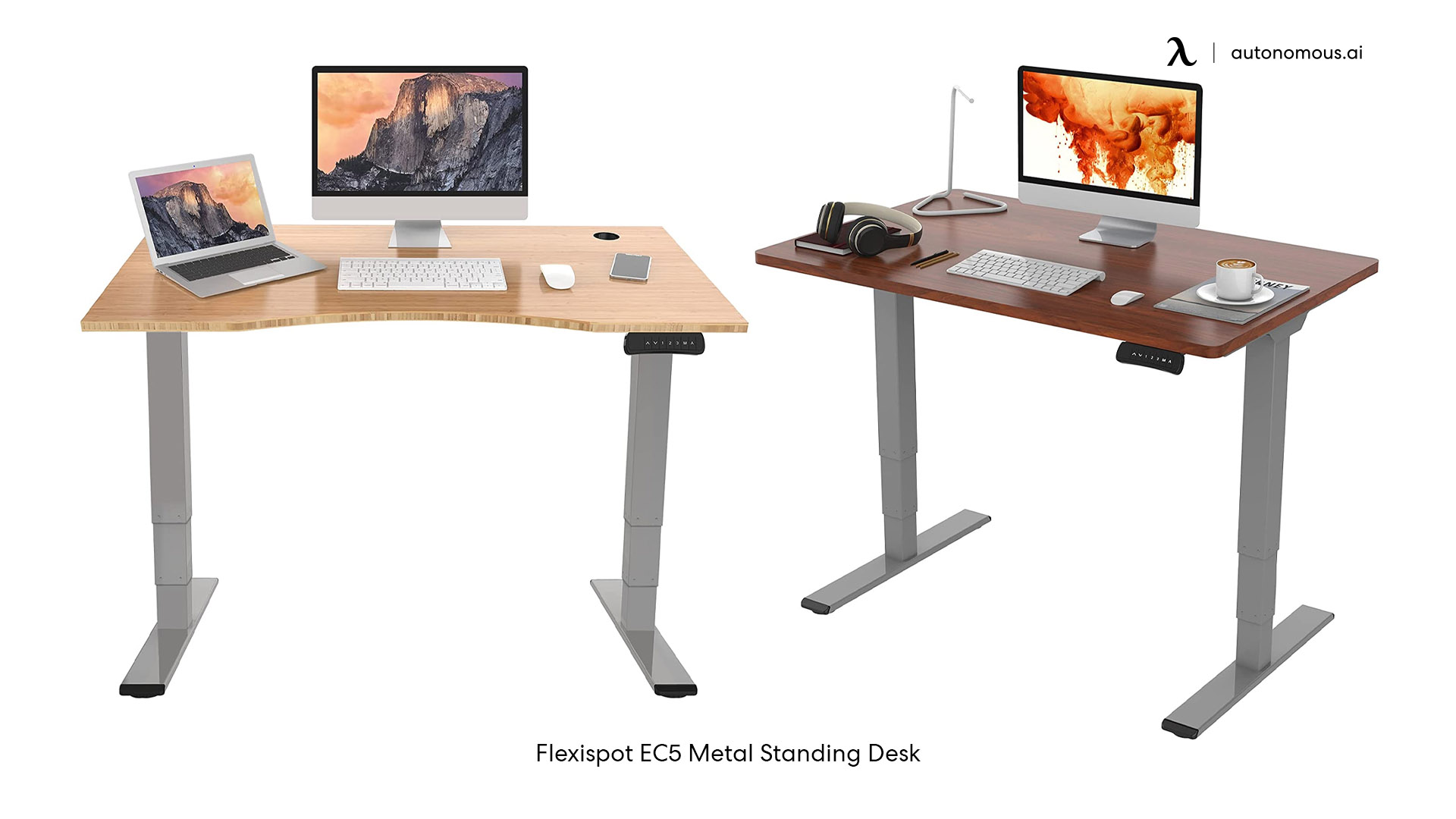 Flexispot EC5 metal framed desk