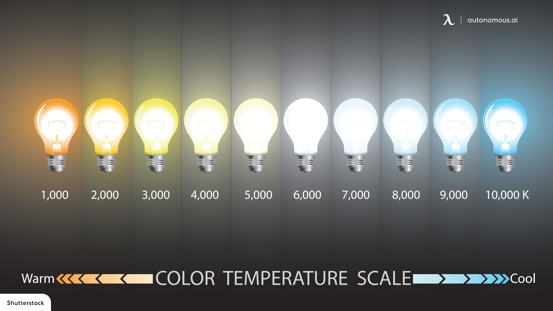 What is The Color Temperature of Light