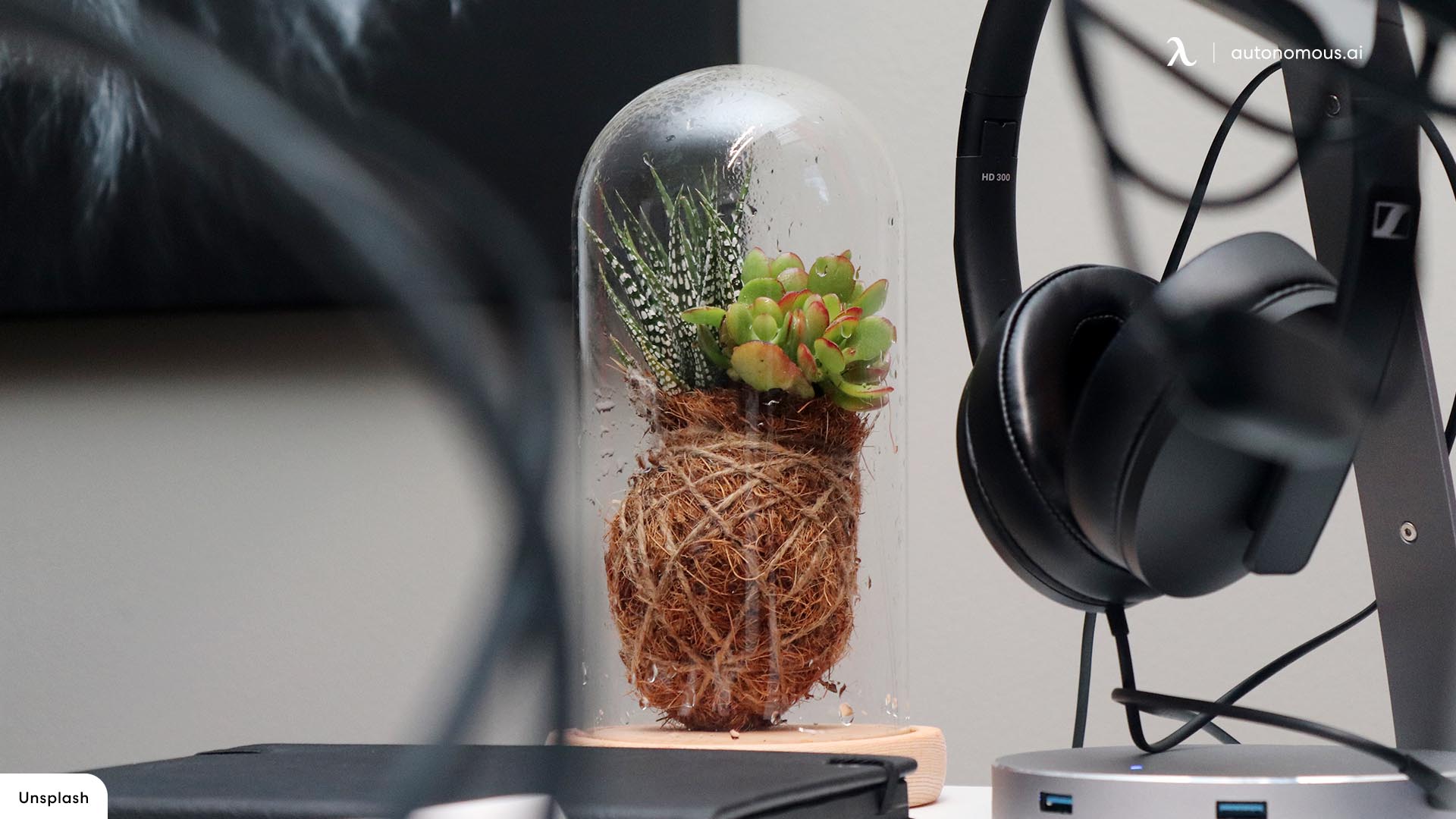 Add Greenery in Transparent Bulbs