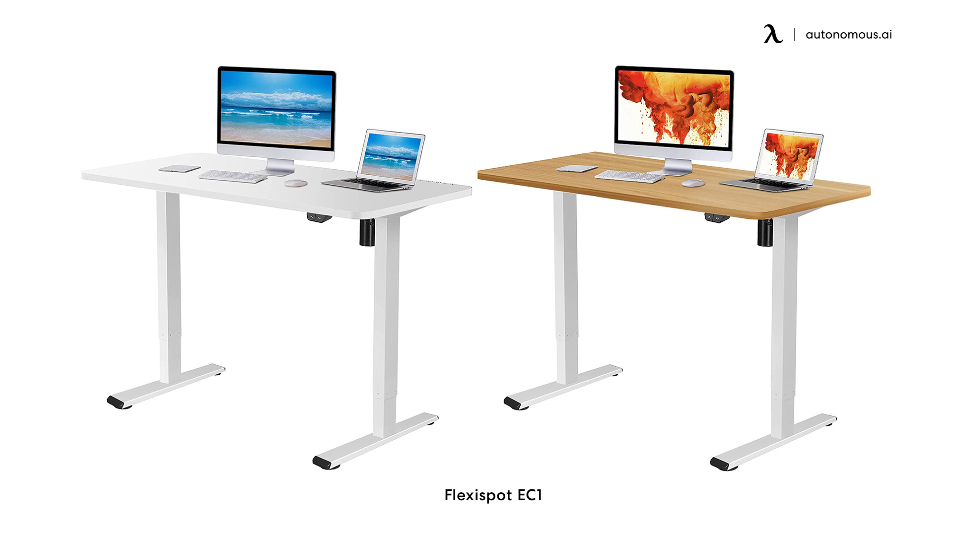 Flexispot EC1 ergonomic desk height