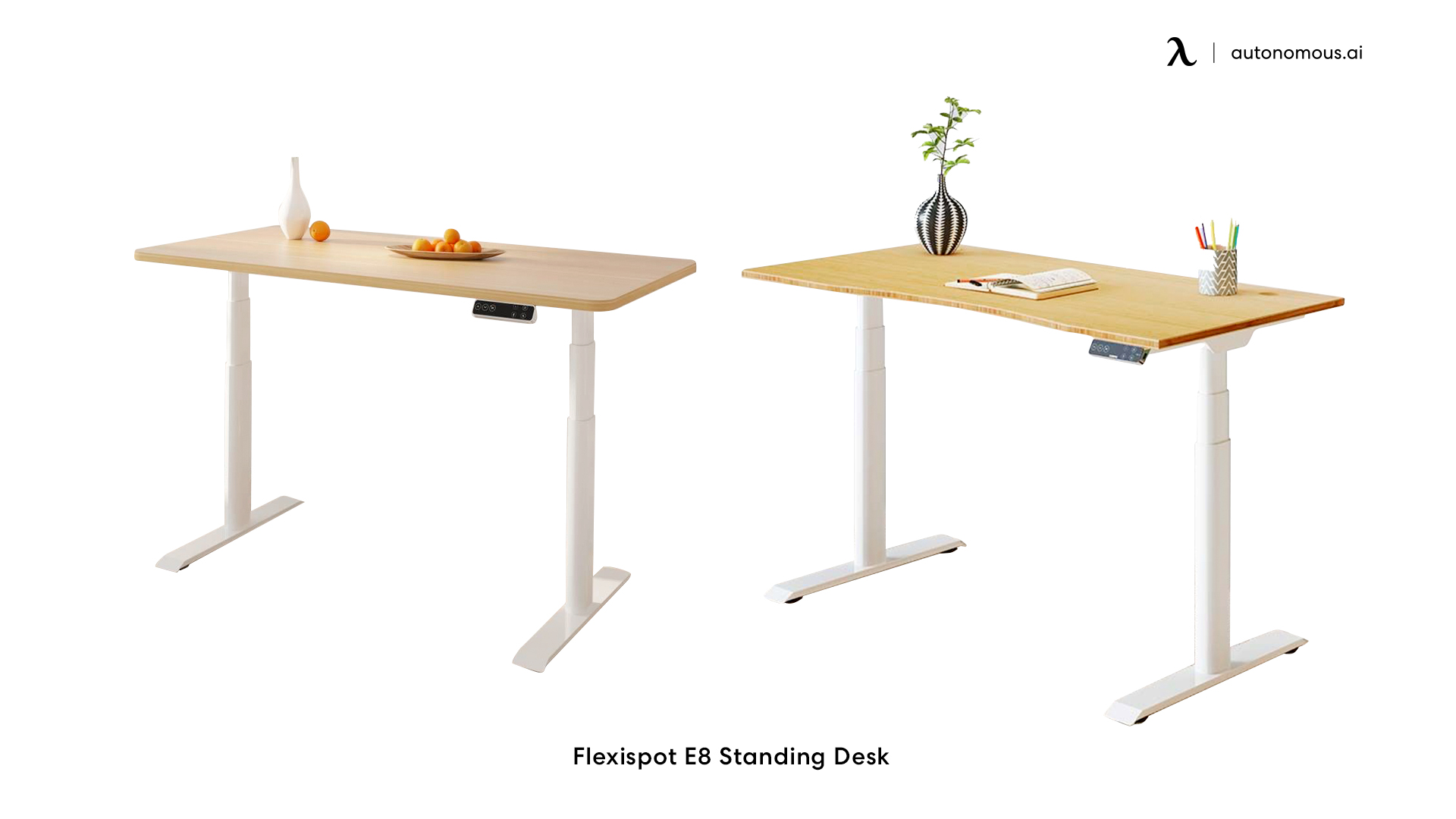 Flexispot E8 dual monitor sit stand workstation