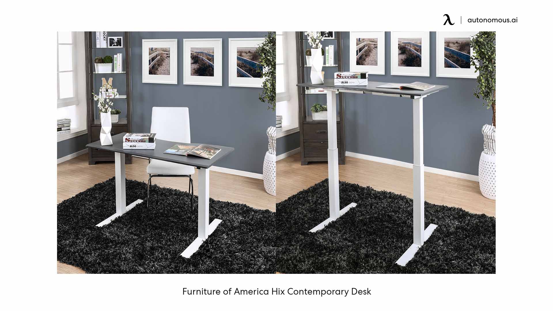 Furniture of America Hix grey home office desk