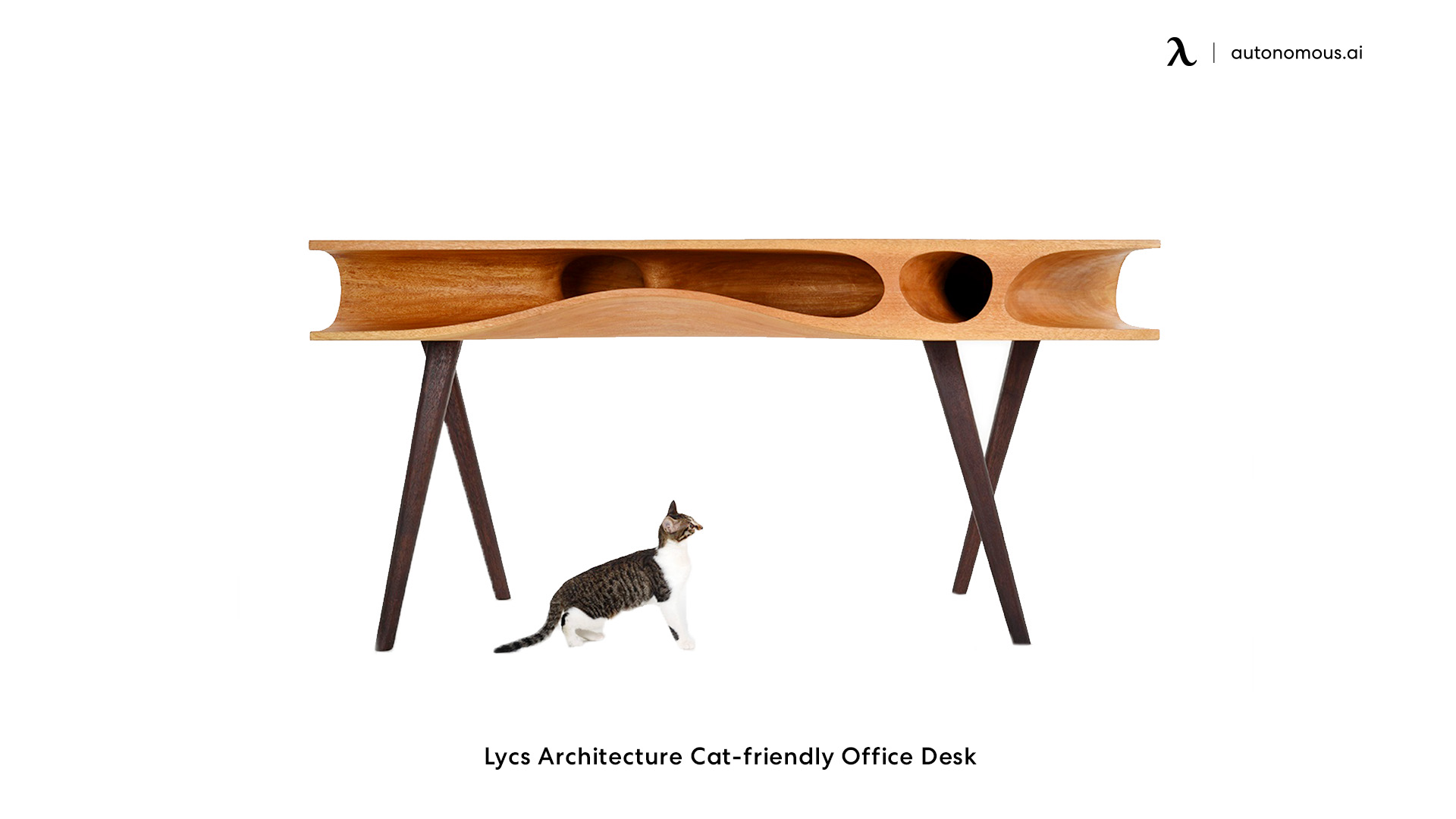 Lycs Architecture Cat-friendly Office Desk