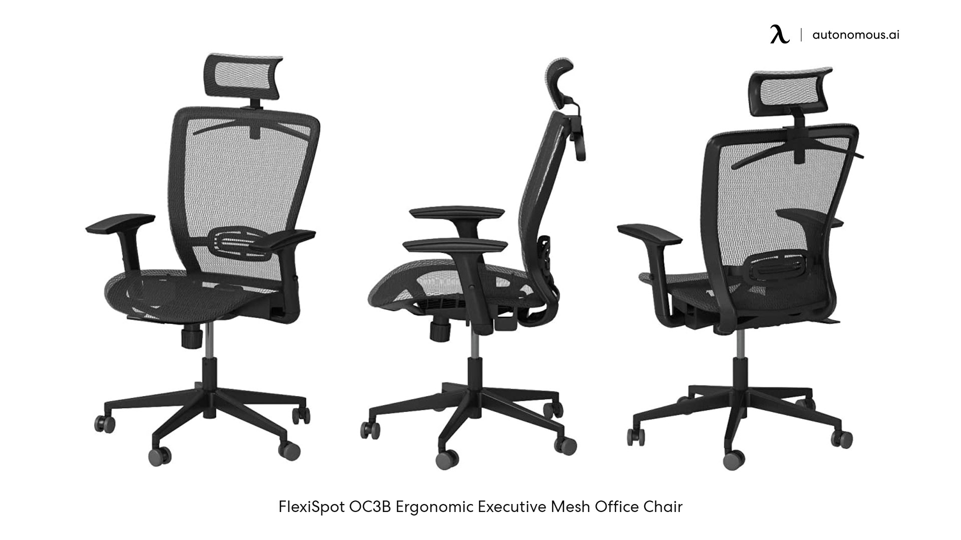 Flexispot Ergonomic Chair