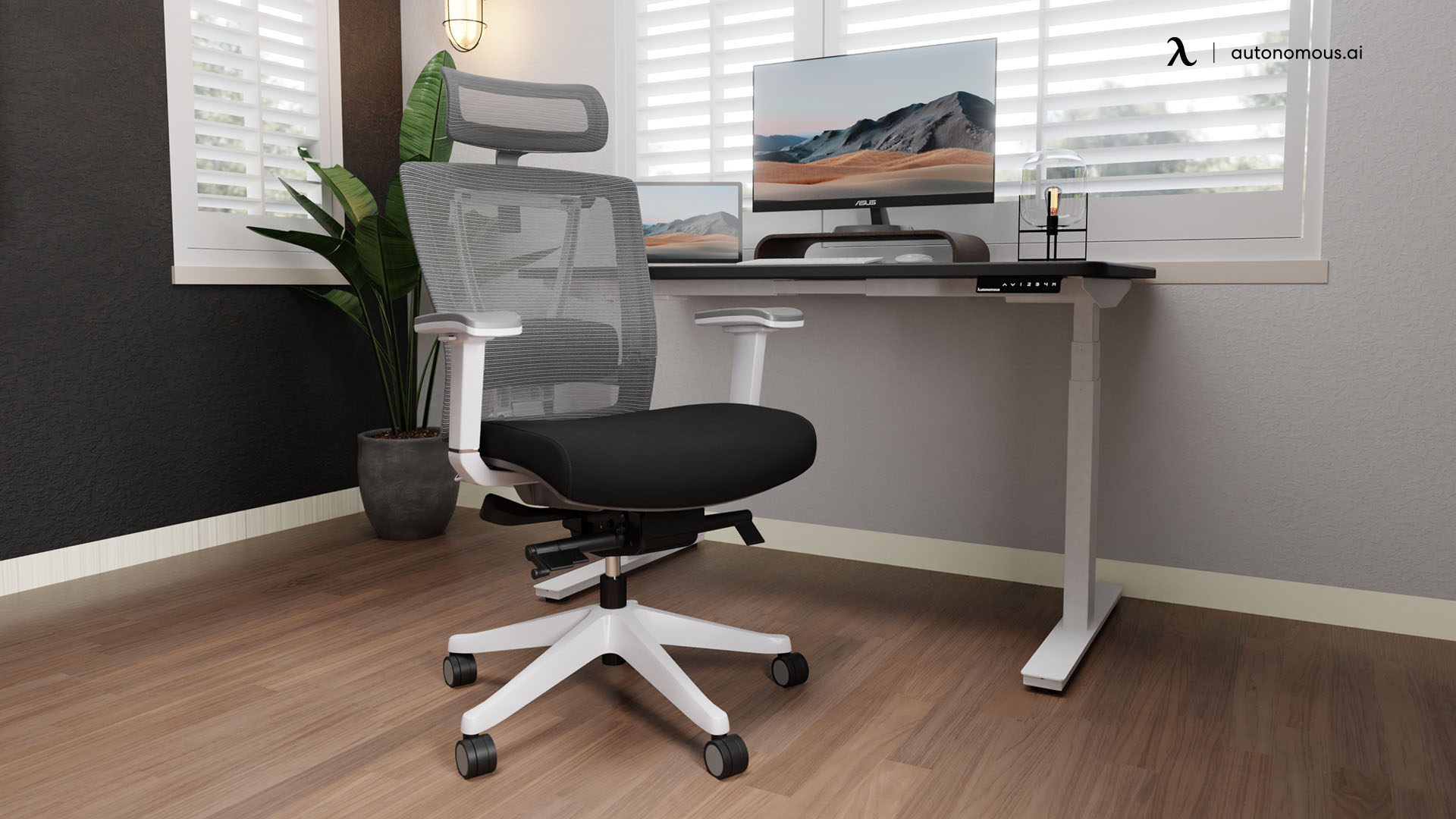 ErgoChair Pro trendy desk chair