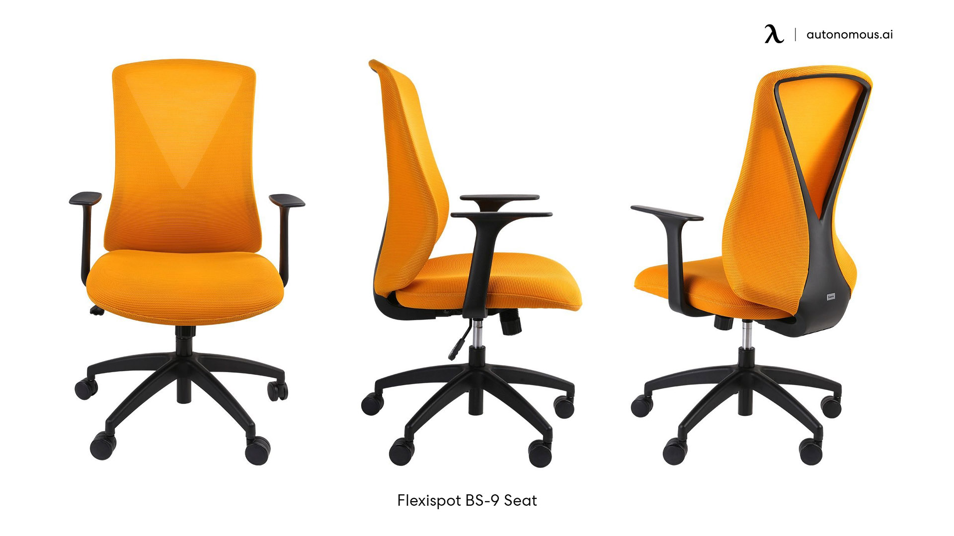 Flexispot BS-9 Seat trendy desk chair