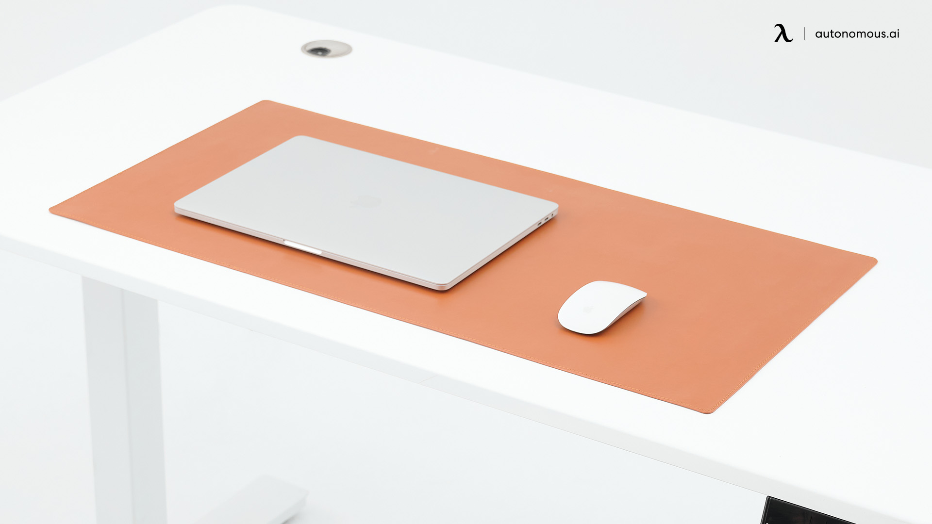 Autonomous Microfiber Vegan Leather desk pad