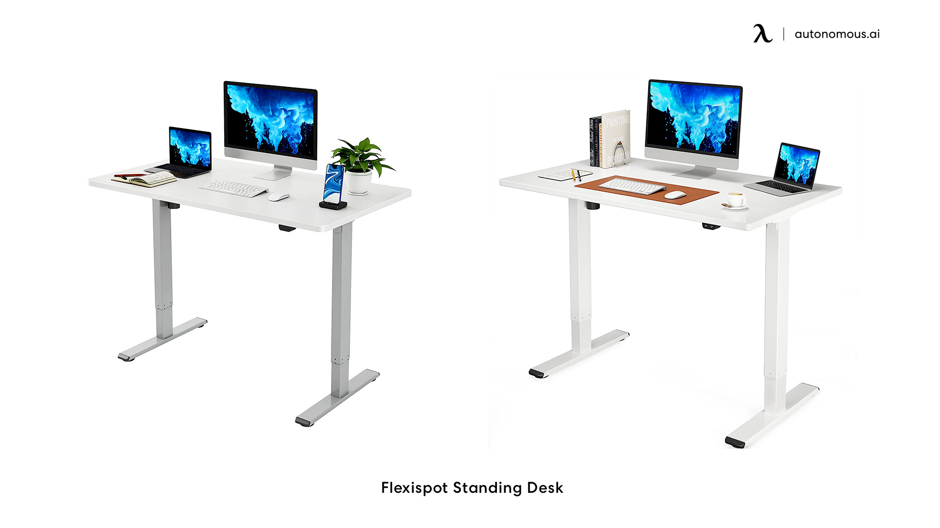 Flexispot Freestanding white oak office desk