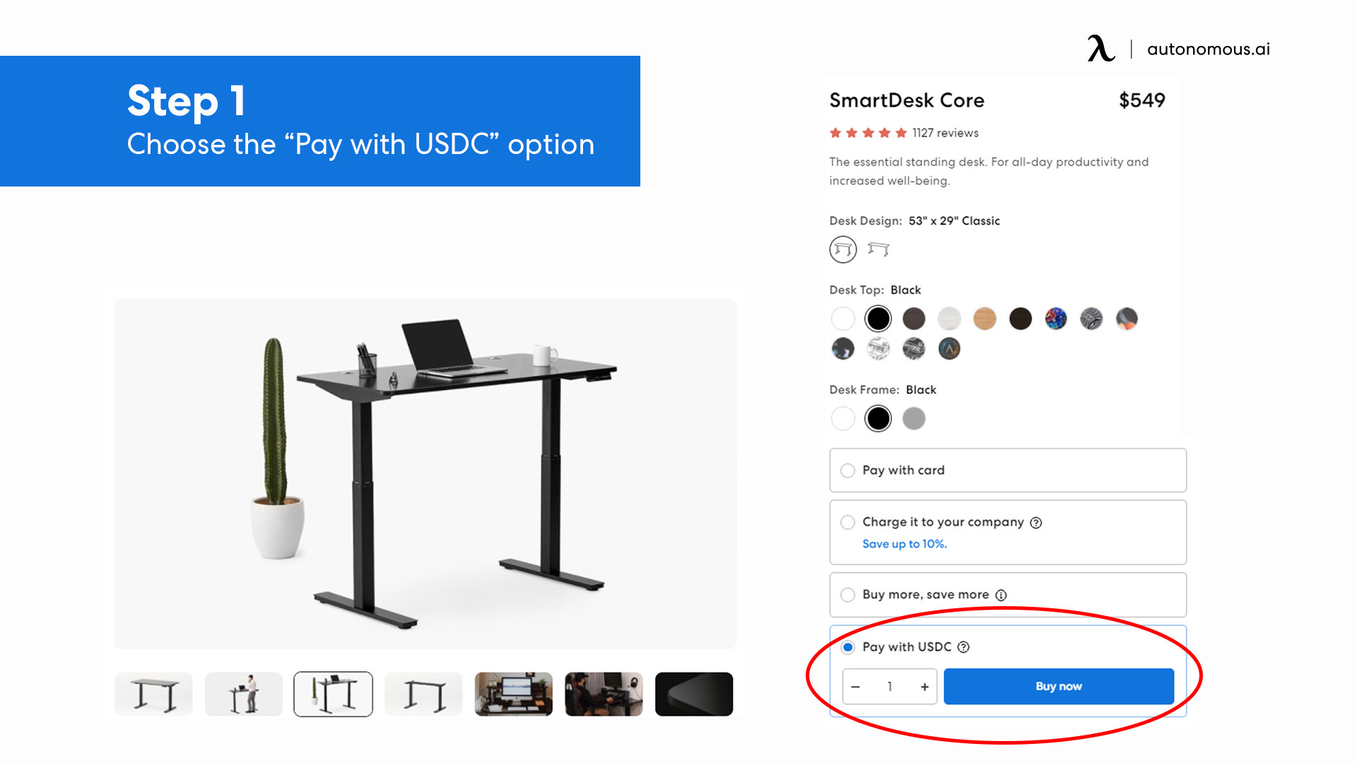 Choose Pay with USDC option