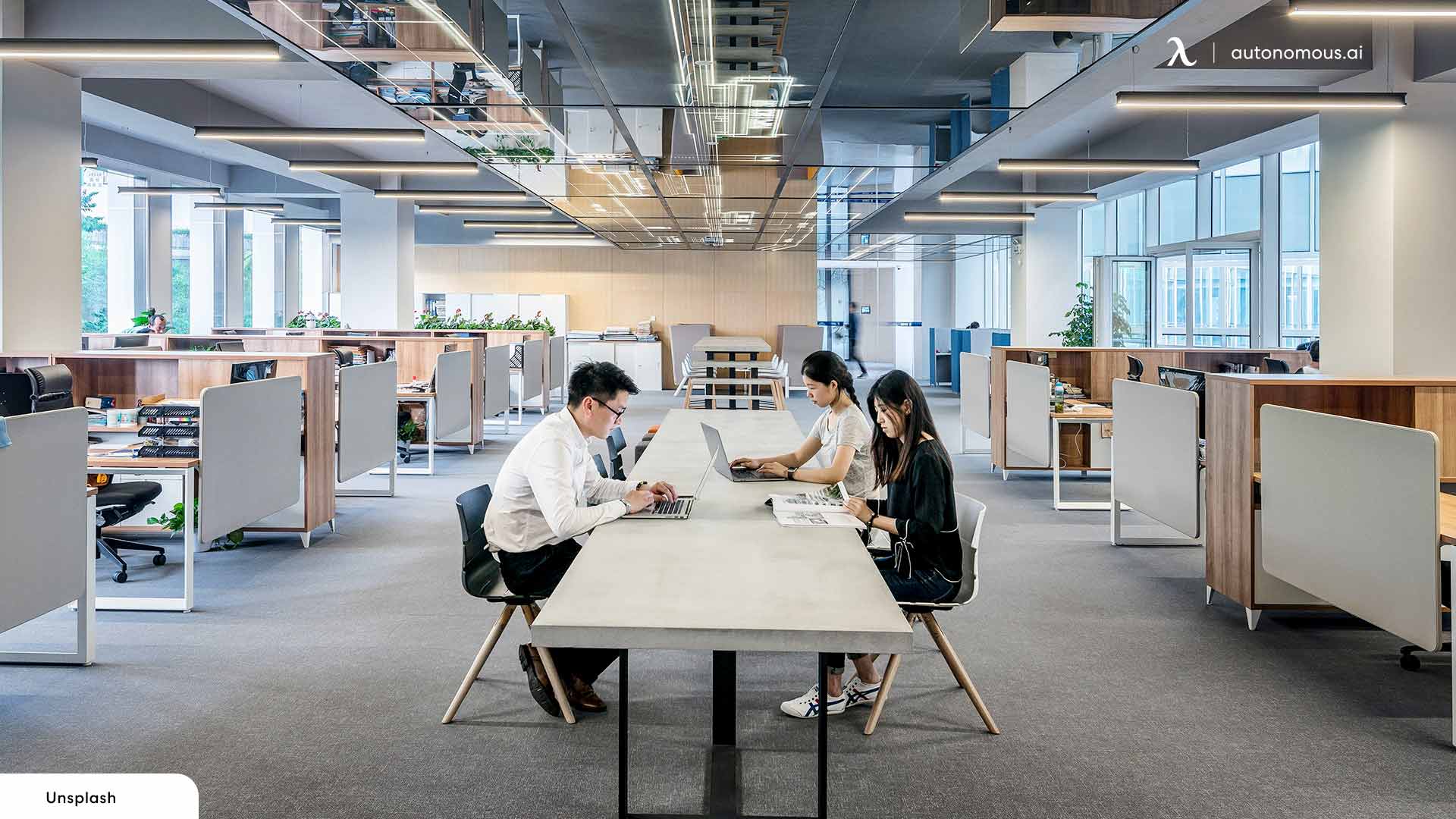 Factors to Consider When Deciding the Office Layout for Startup