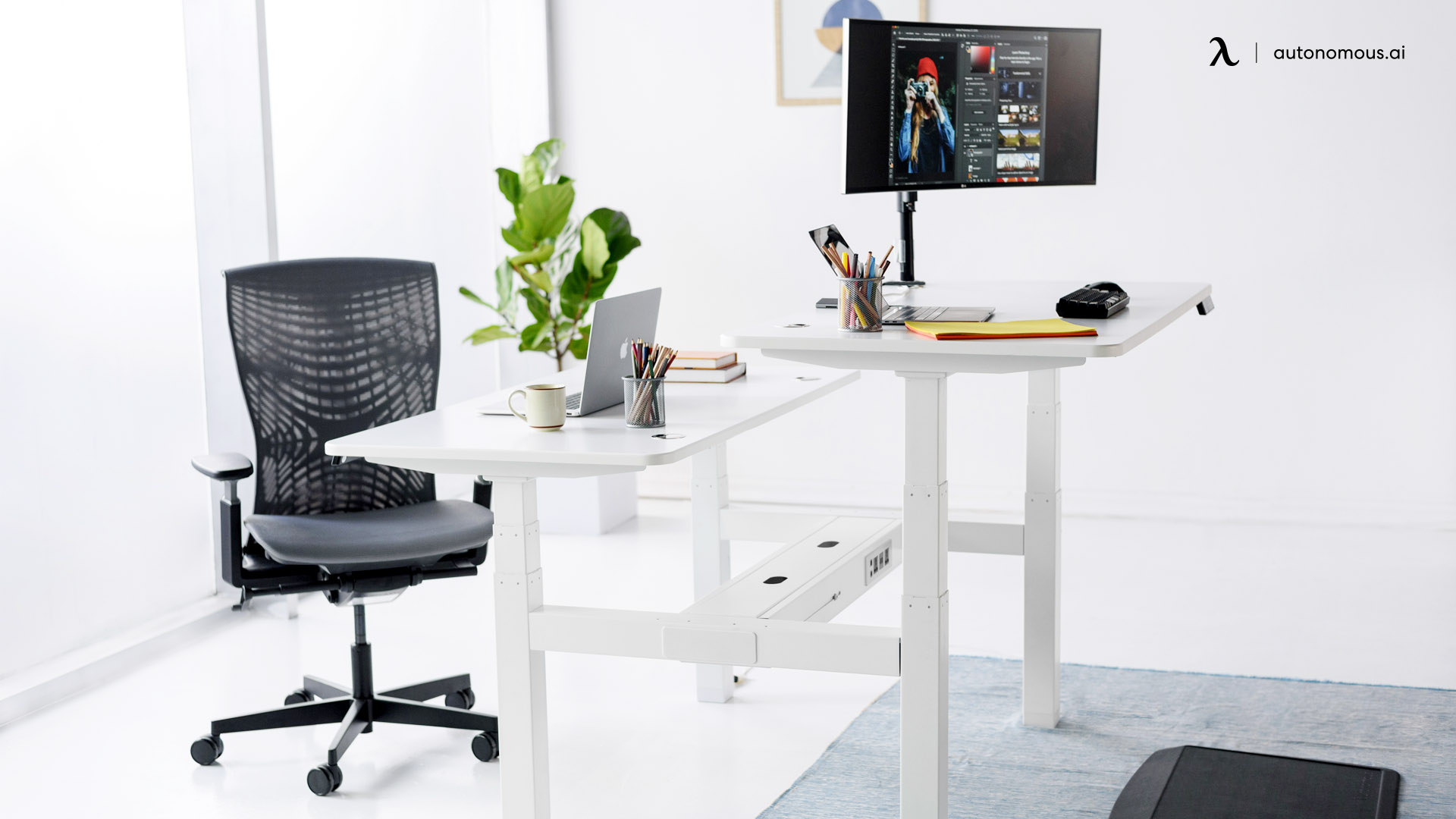 Office Furniture Ideas with Minimalist Layout