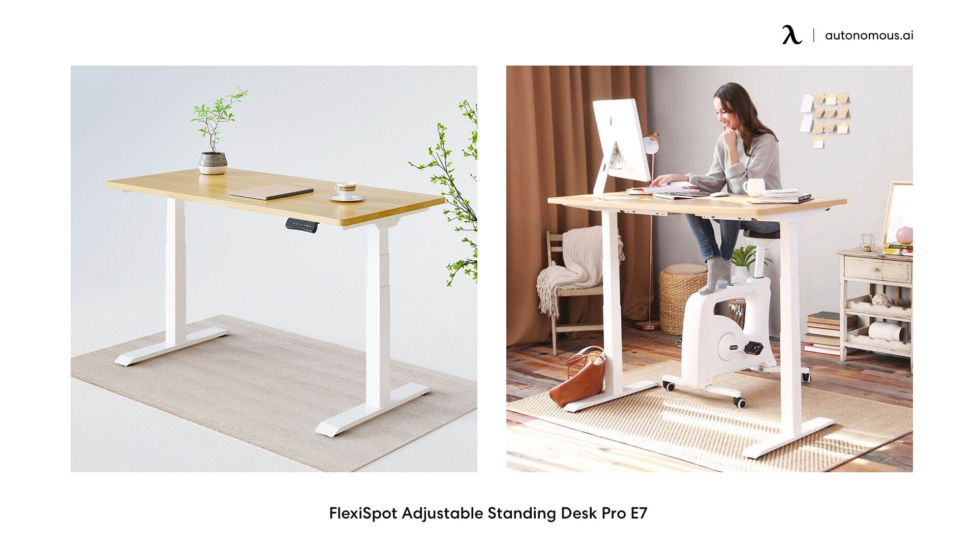FlexiSpot Adjustable Standing Desk Pro E7