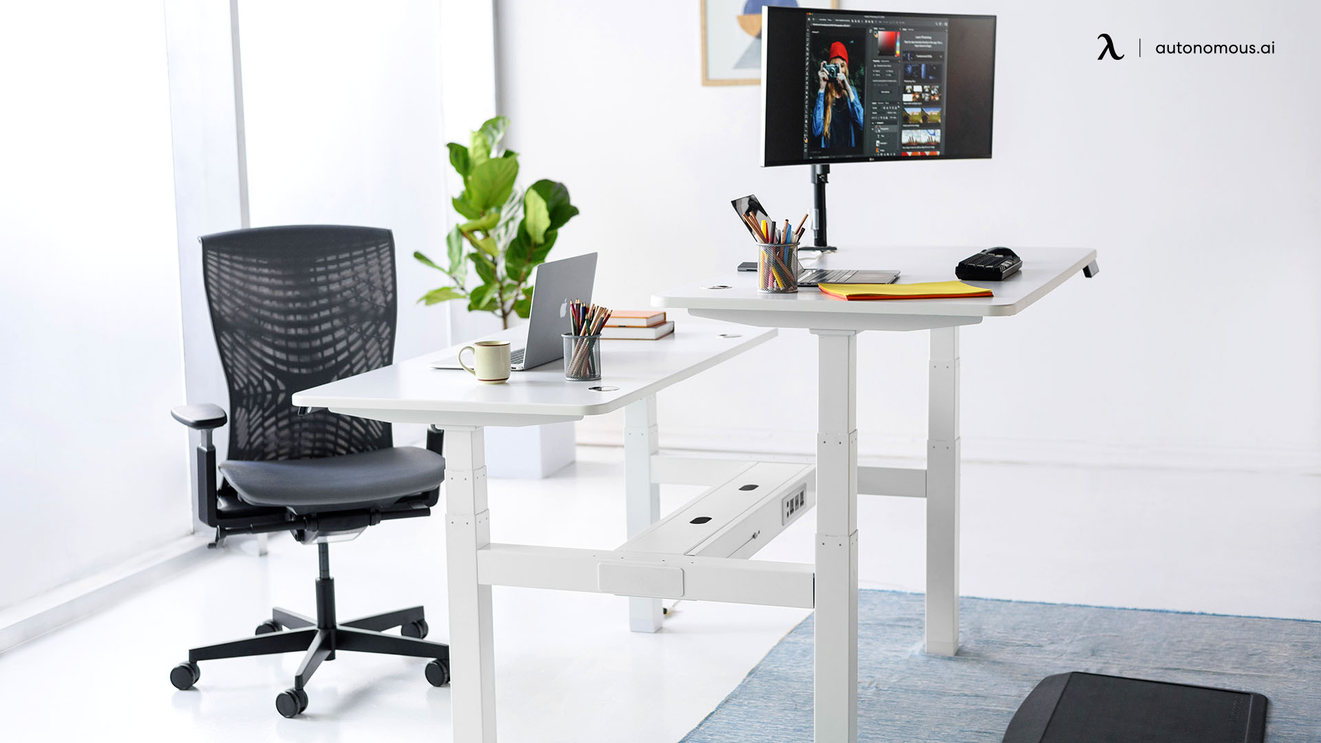 SmartDesk Core Duo ergonomic adjustable desk