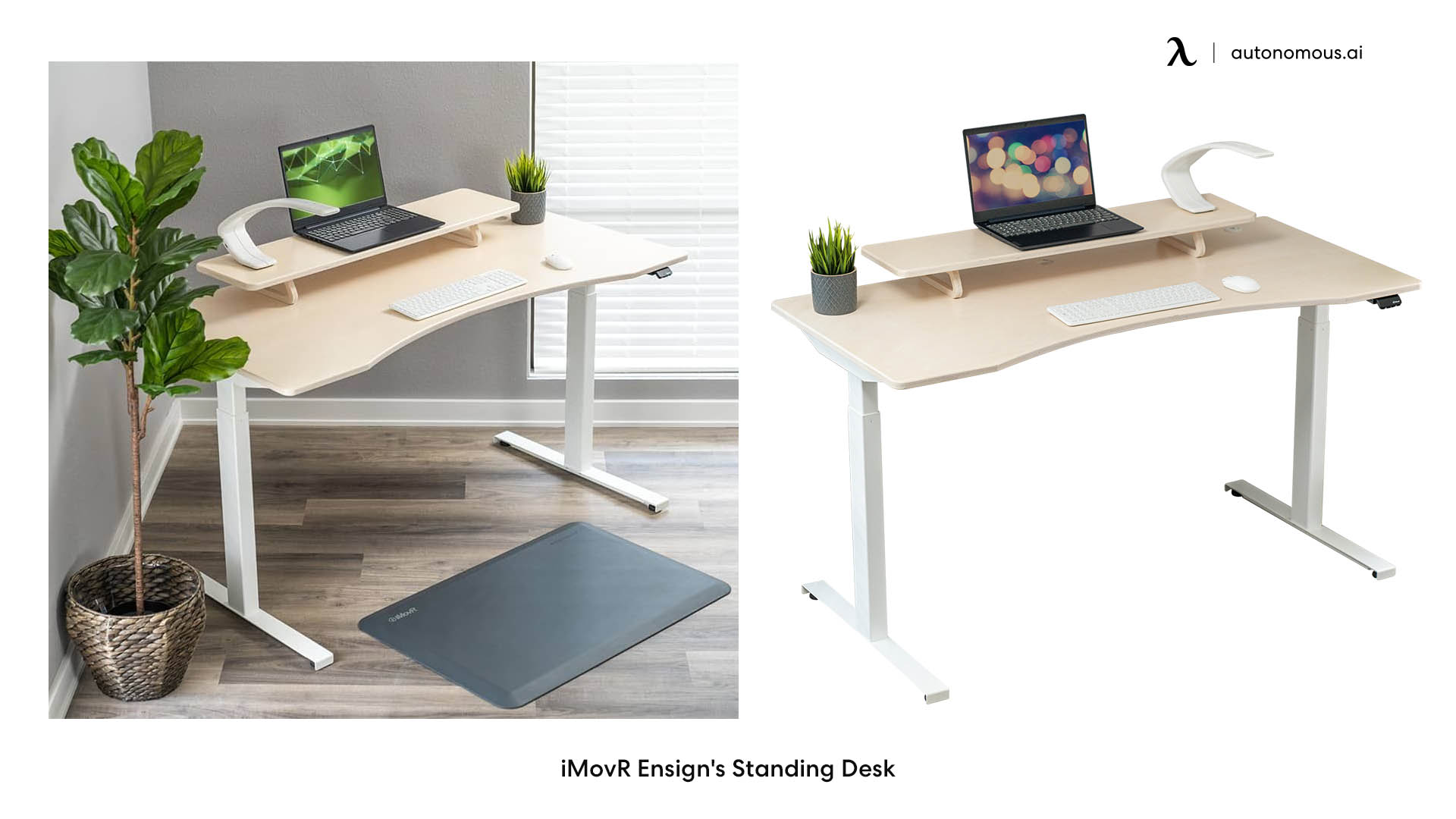 iMovR Ensign's Standing Desk