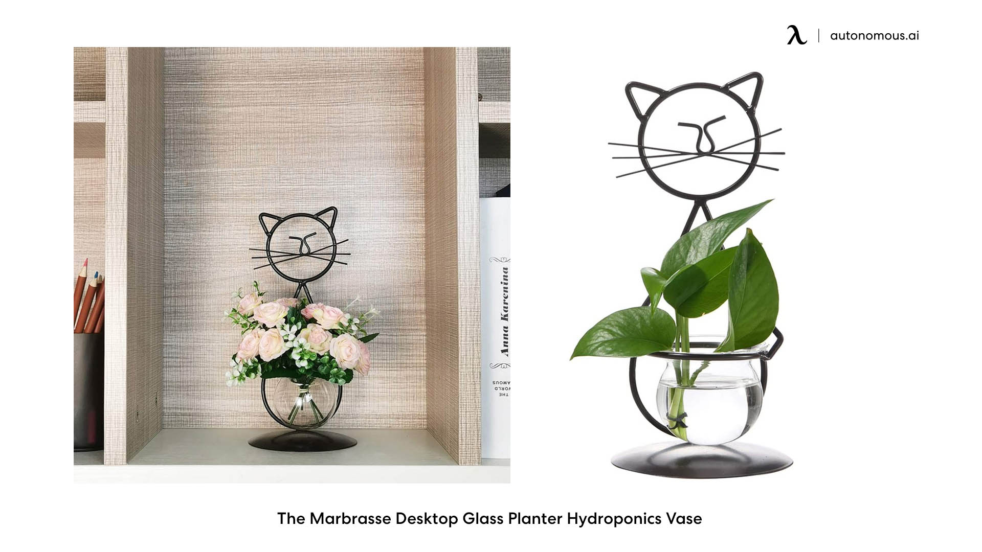 The Marbrasse Desktop Glass Planter Hydroponics Vase