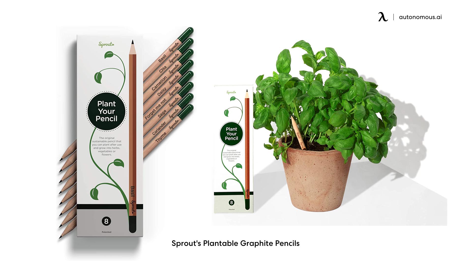 Sprout's Plantable Graphite Pencils