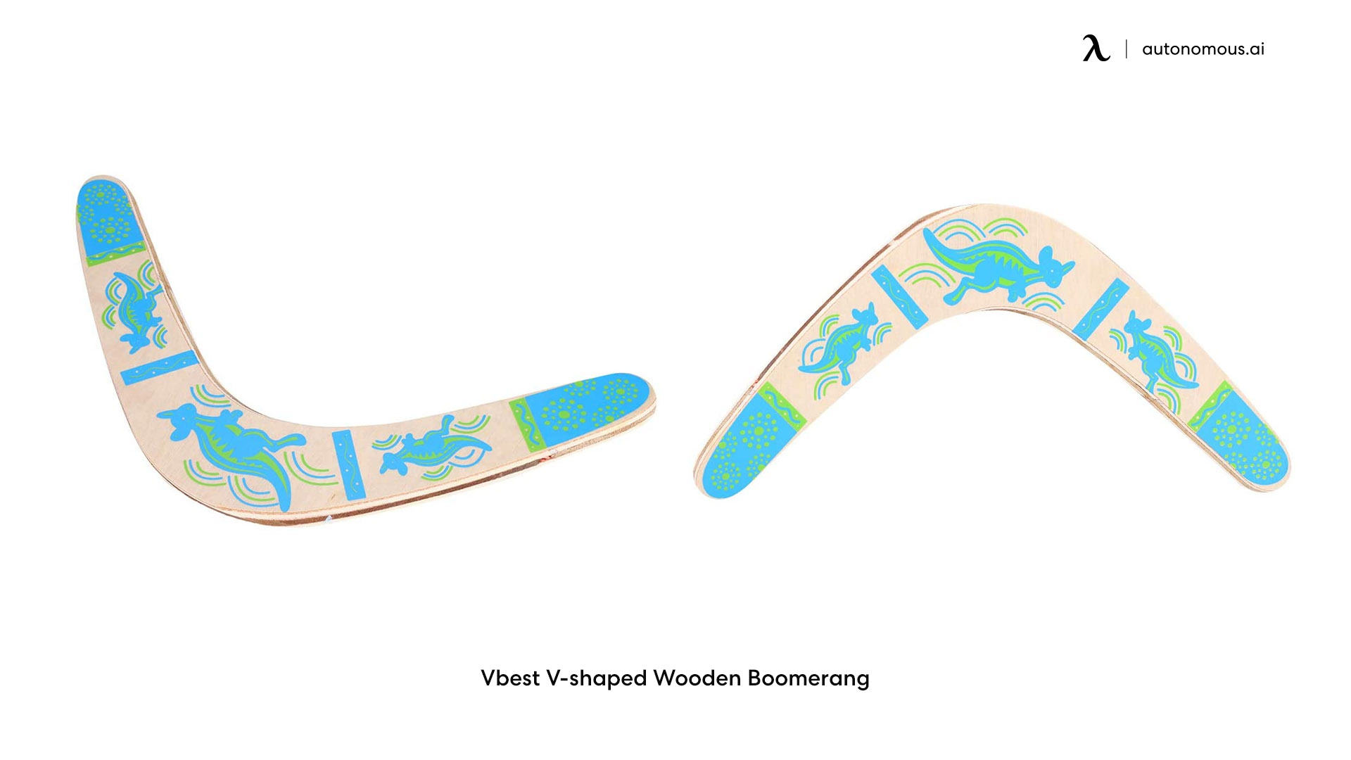 Tbest V-shaped flying disc boomerang