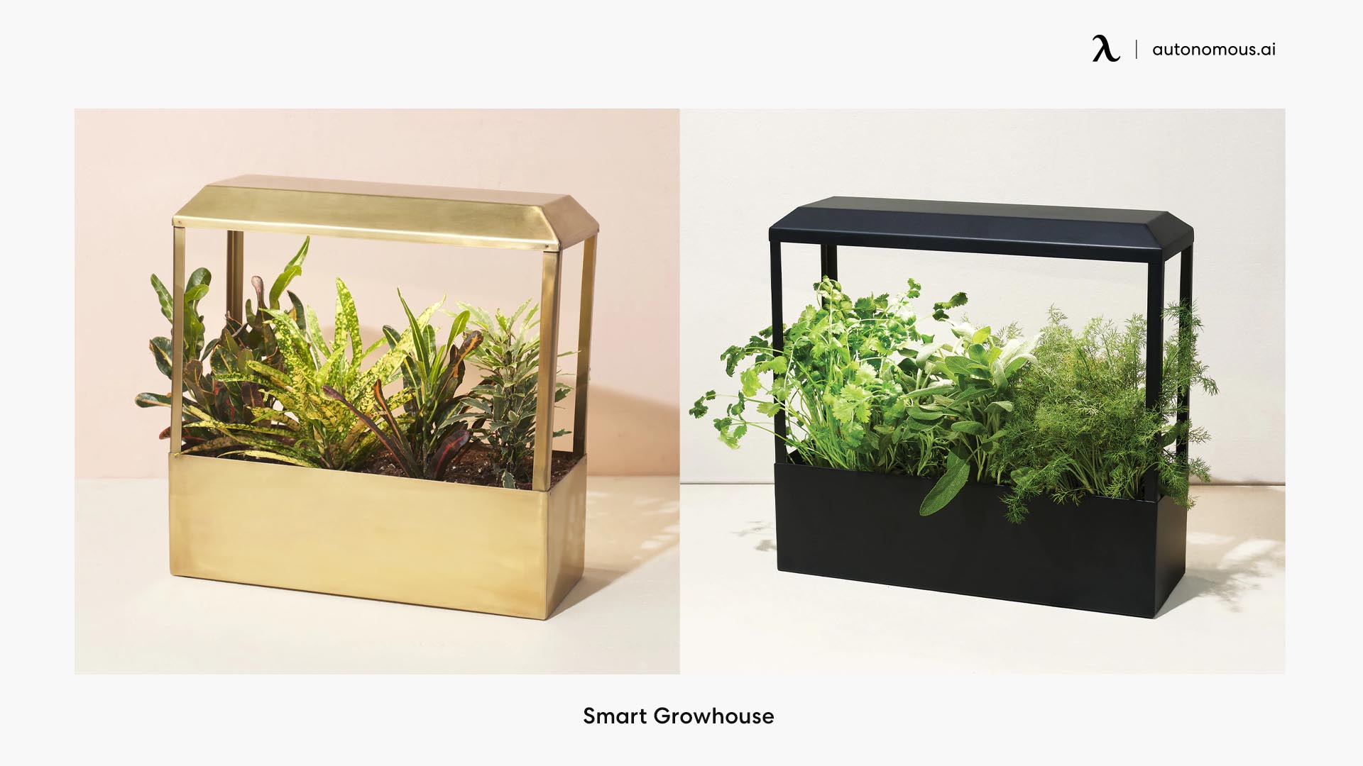 Smart Growhouse best indoor garden