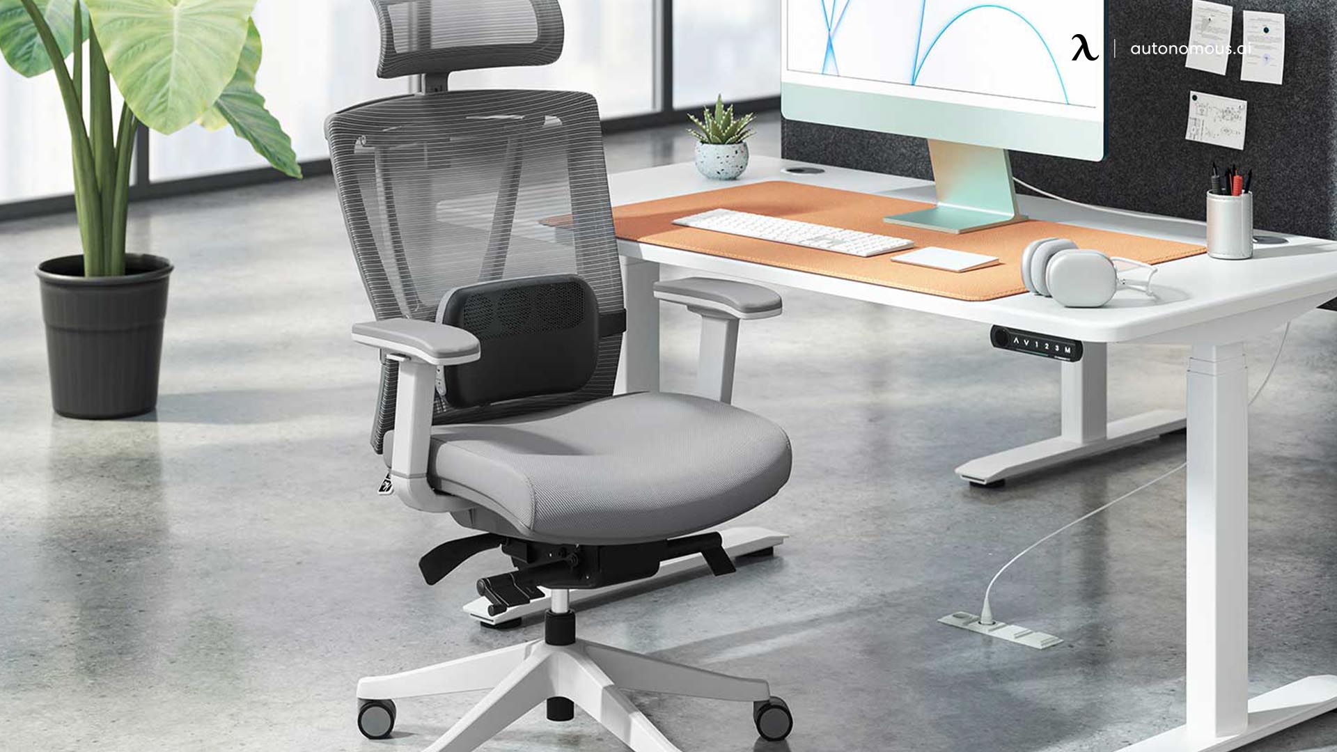 20 Best Office Décor Ideas to Increase Productivity