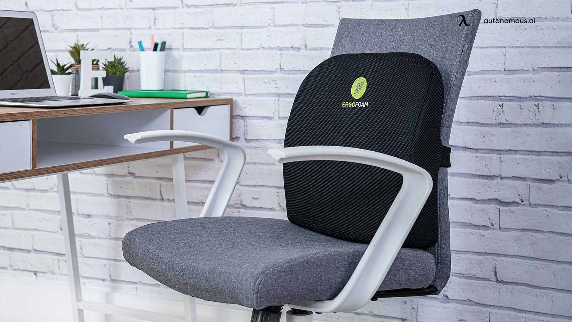 ErgoFoam Lumbar Support Pillow