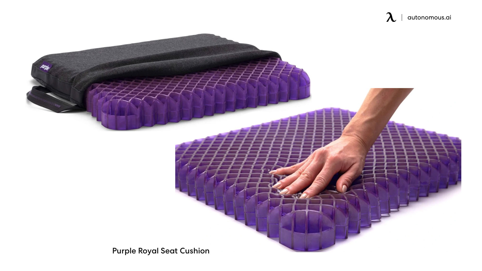 Purple Royal Seat Cushion