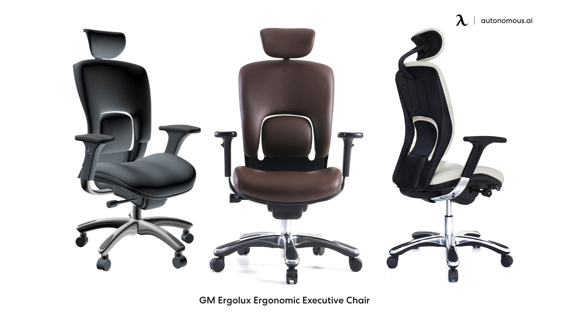 GM Ergolux Ergonomic Executive Chair