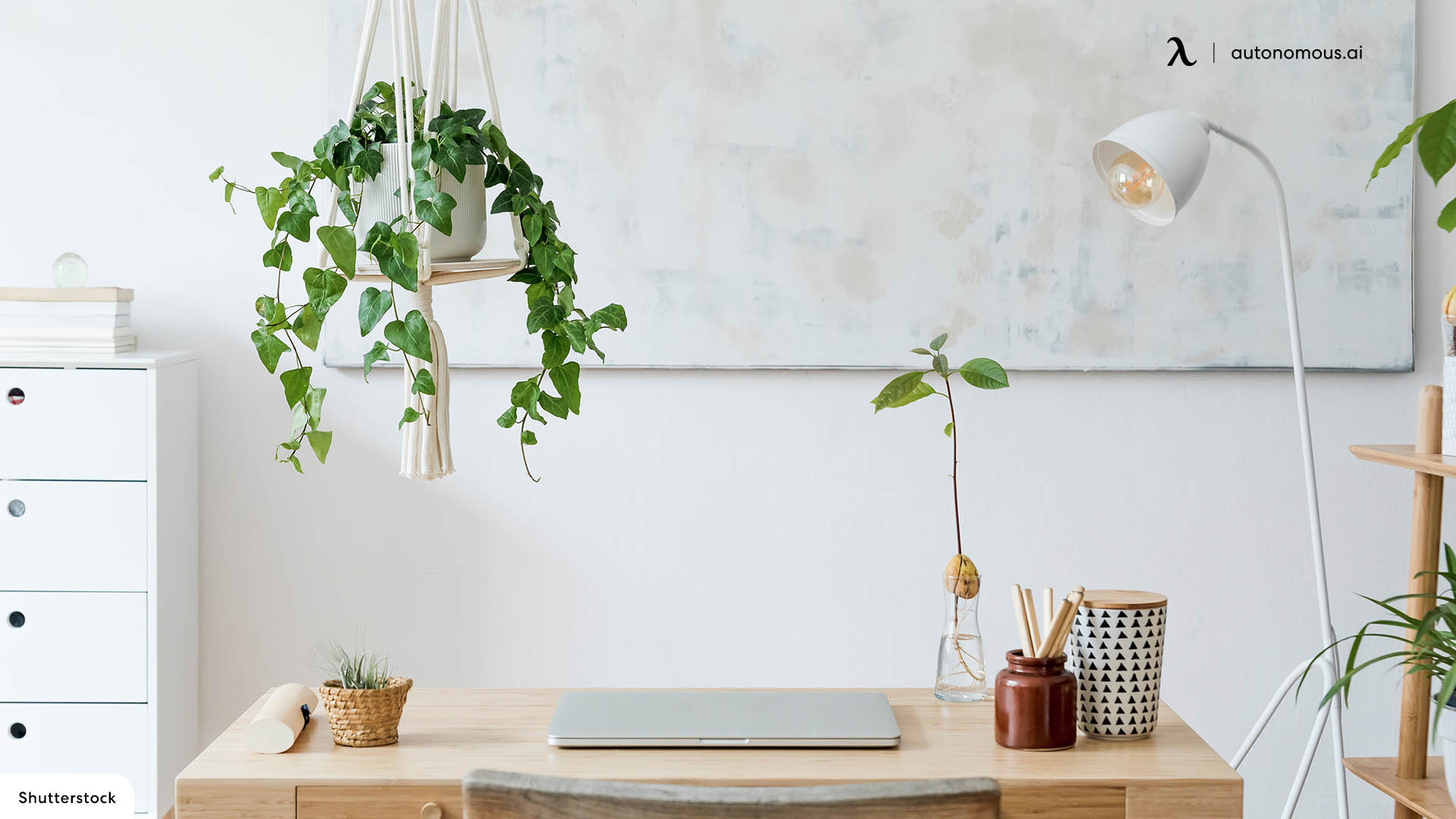 Bring nature to your workspace