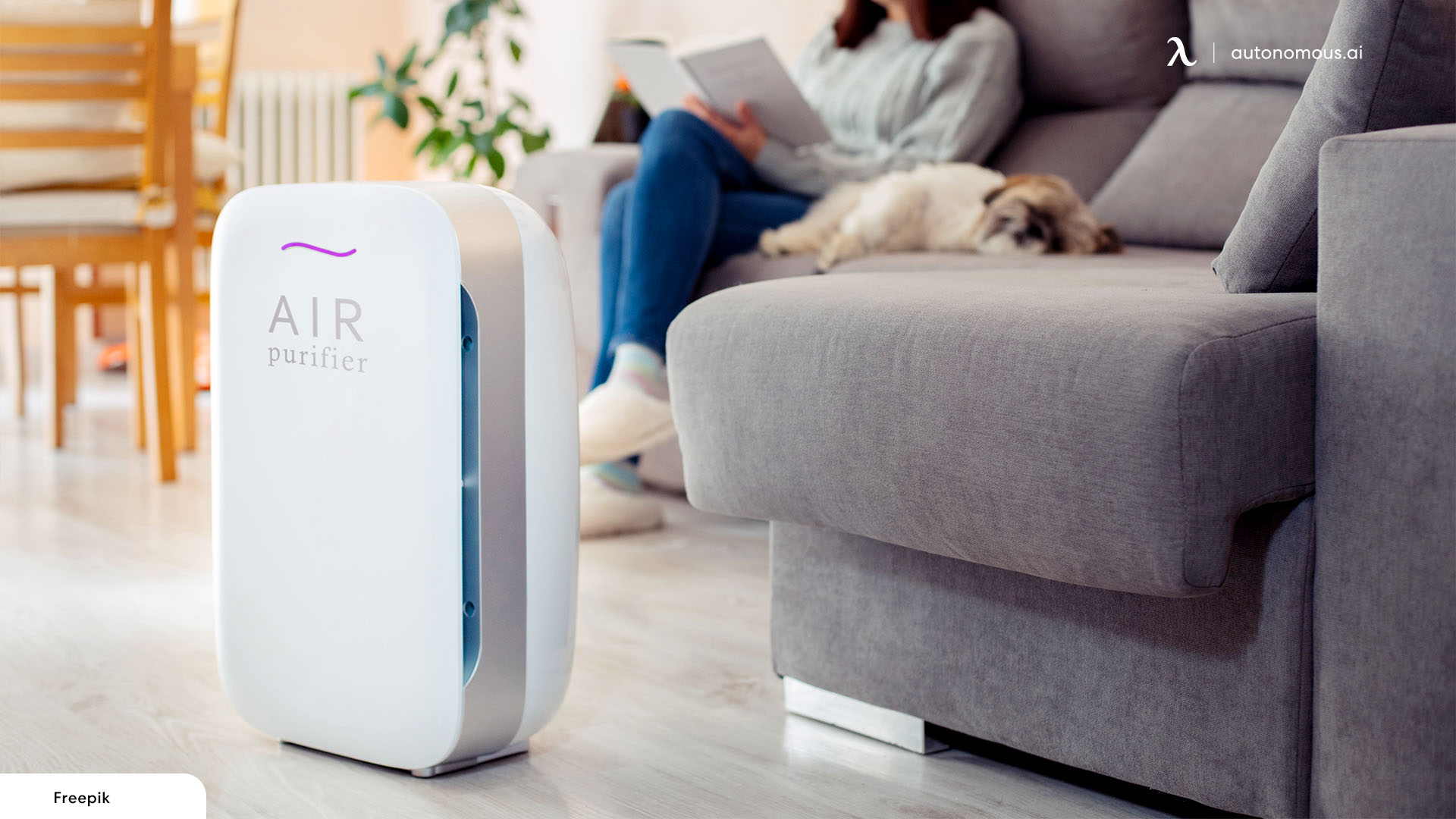 Air purifiers in modern office design