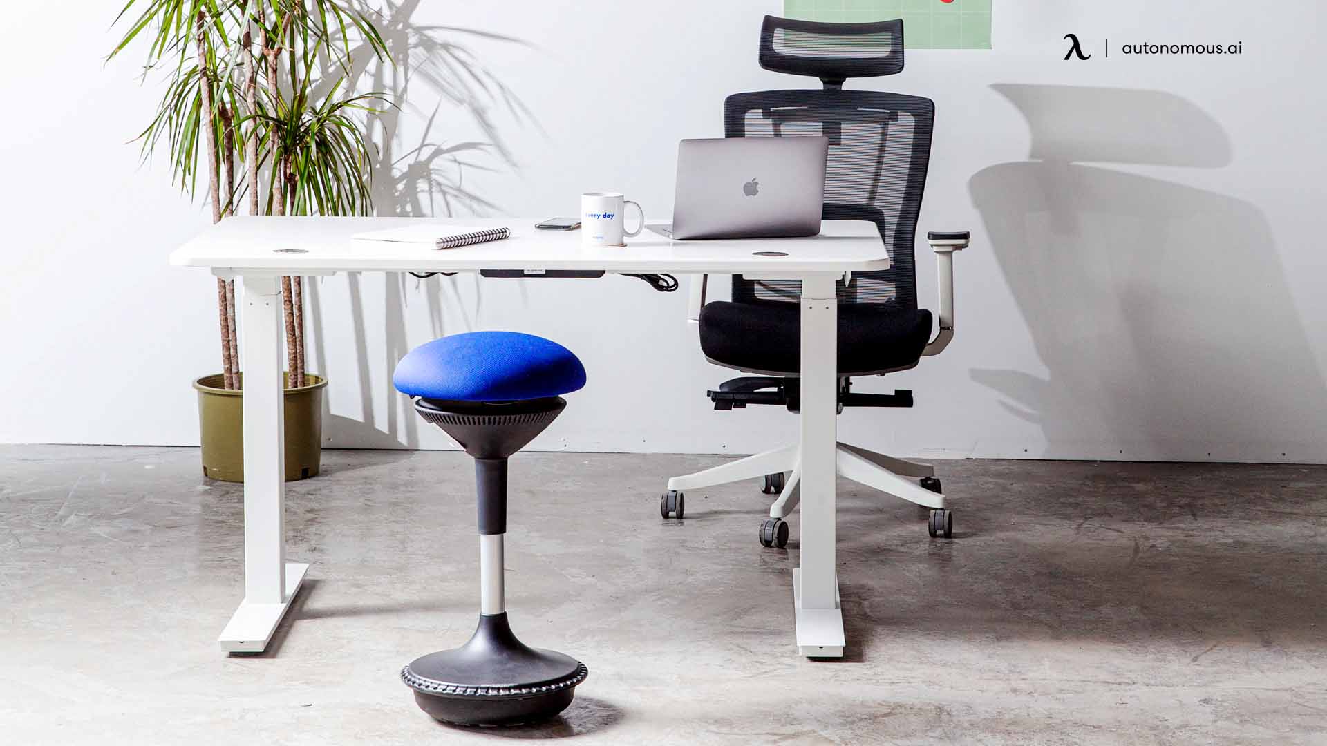What Are Ergonomic Products?