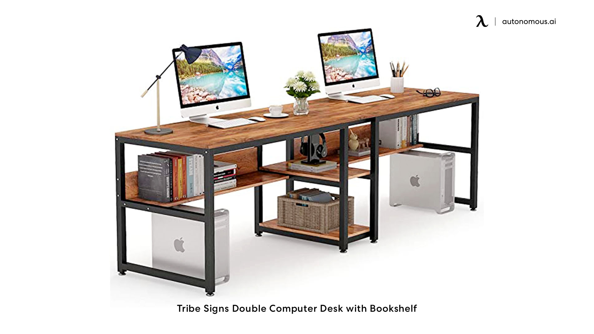TribeSigns Double Computer Desk with Bookshelf