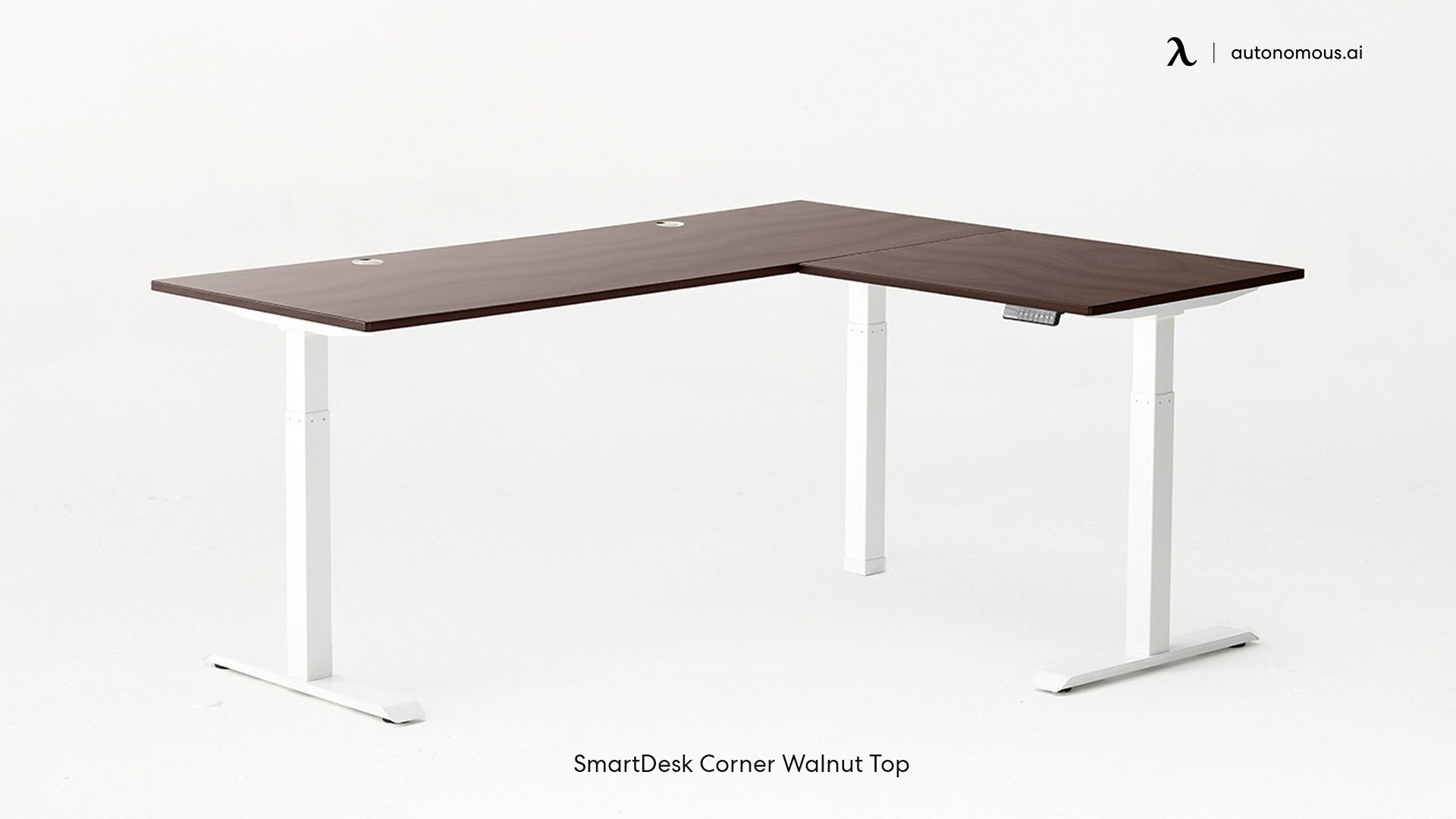 Autonomous Walnut Top Standing Desk modern wood desk