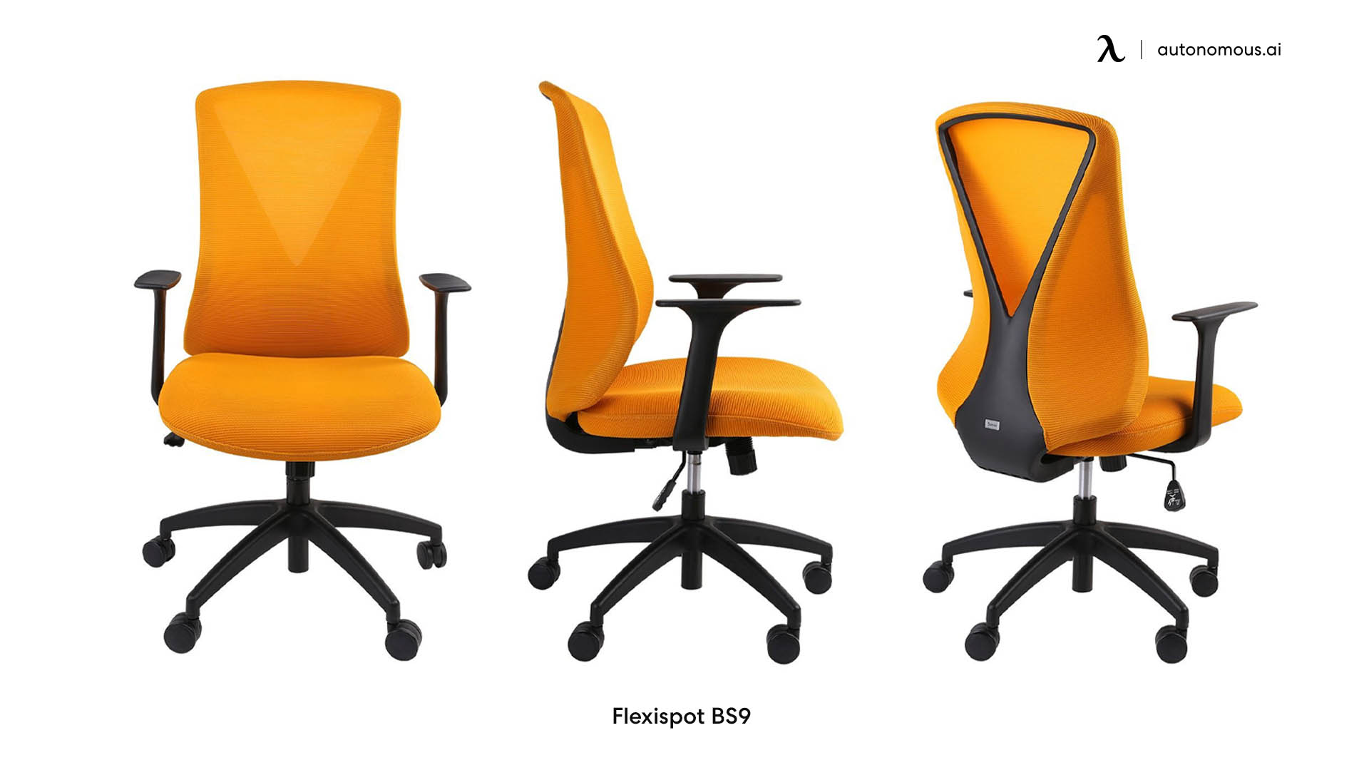 Flexispot BS9 lumbar support chair